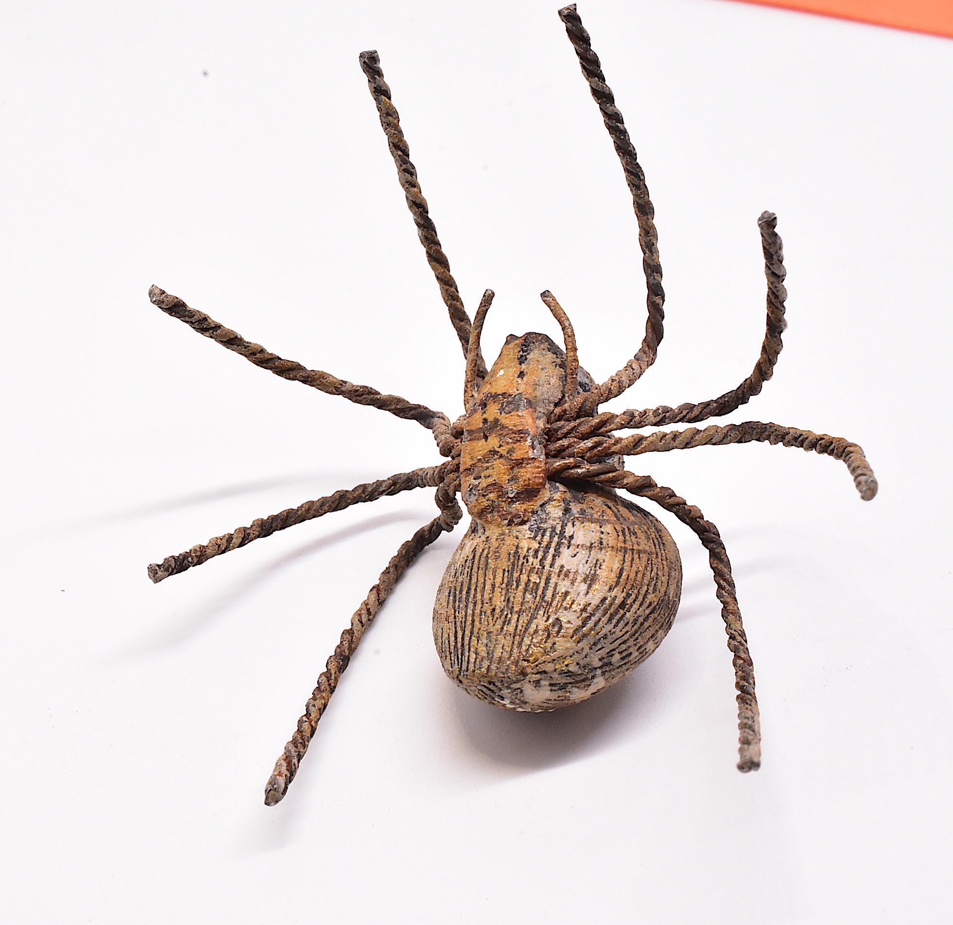 C1880 Austrian Bronze Realistic Tarantula Spider 1