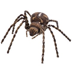 C1880 Austrian Bronze Realistic Tarantula Spider 