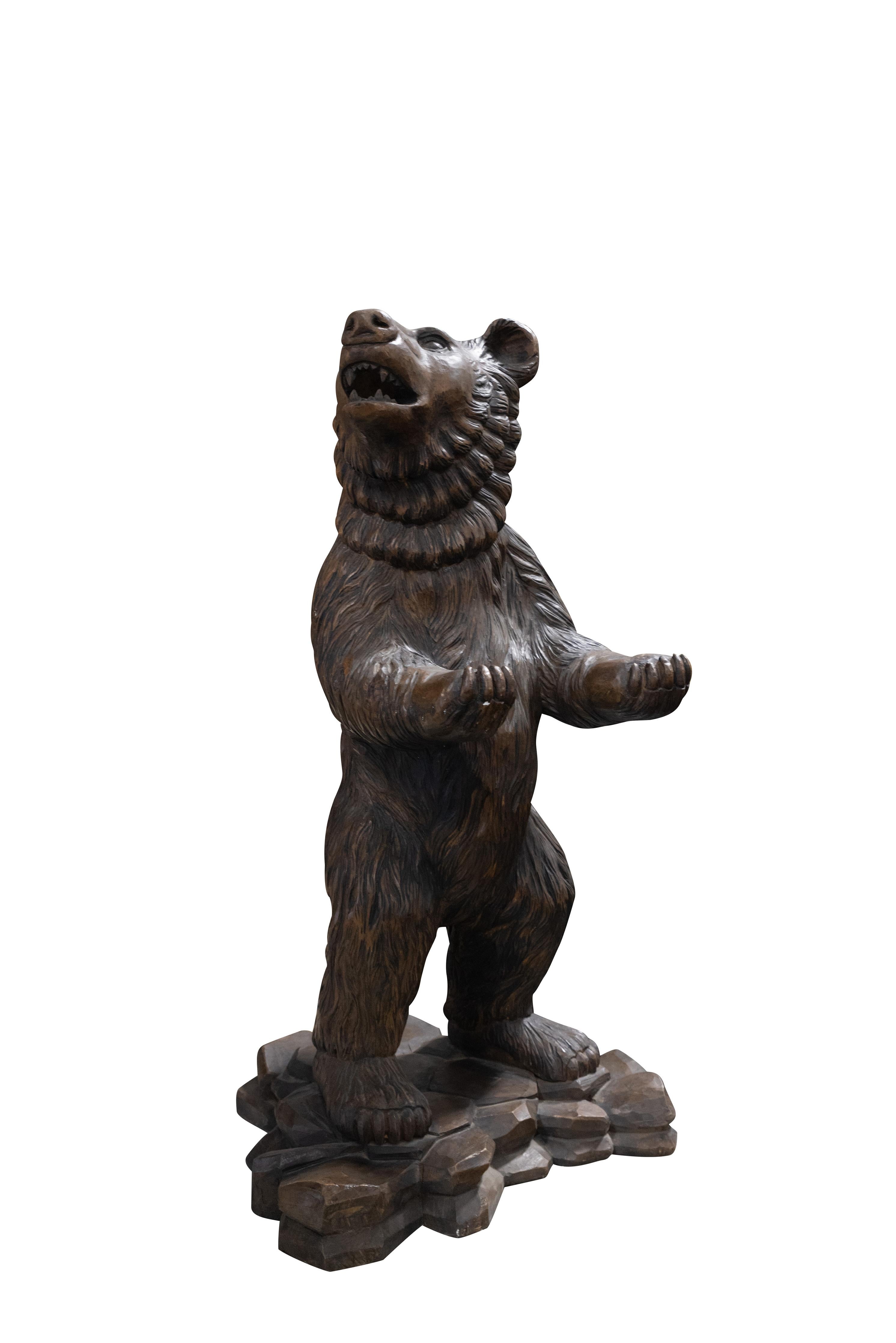 Austrian Carved Black Forest Bear For Sale 2