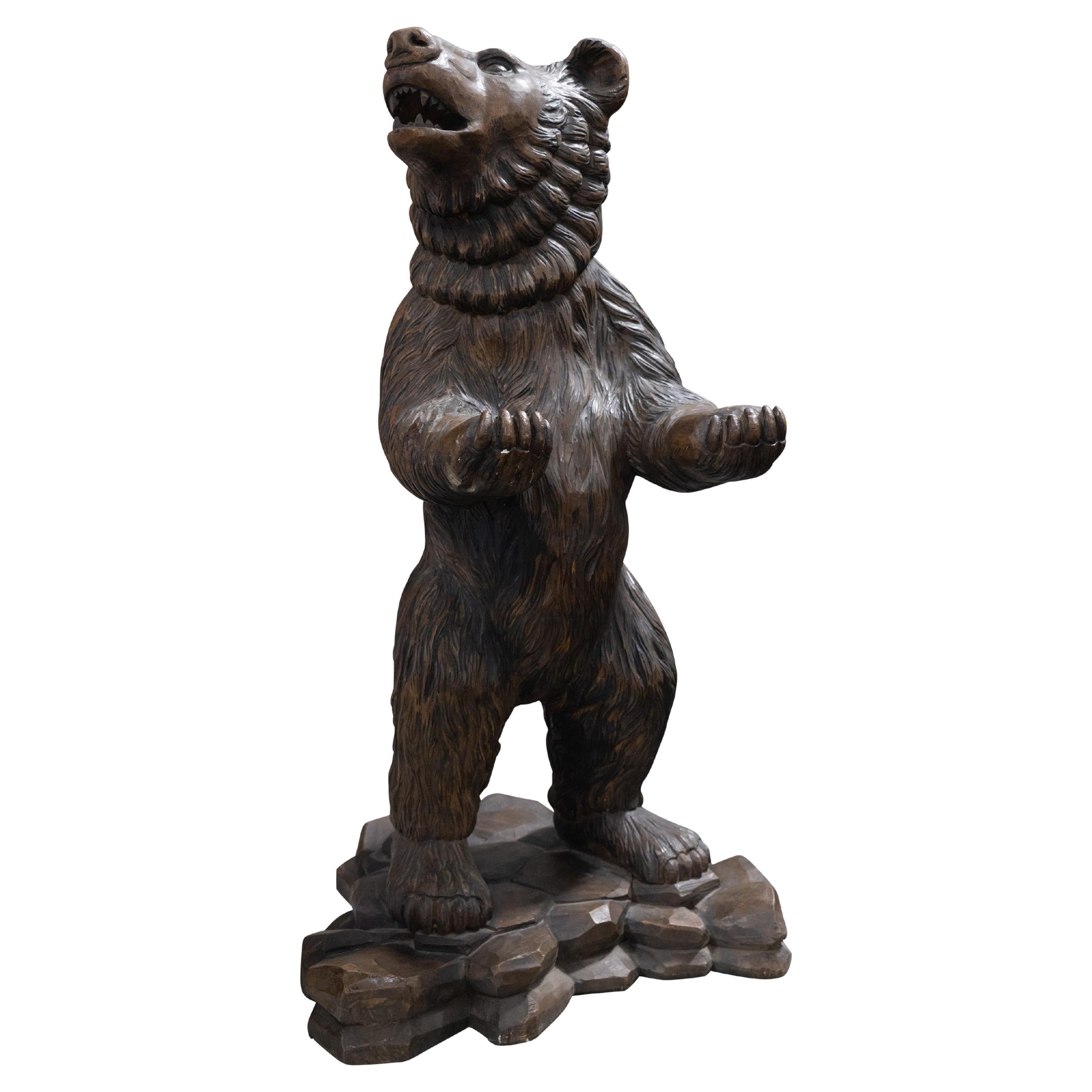 Austrian Carved Black Forest Bear For Sale