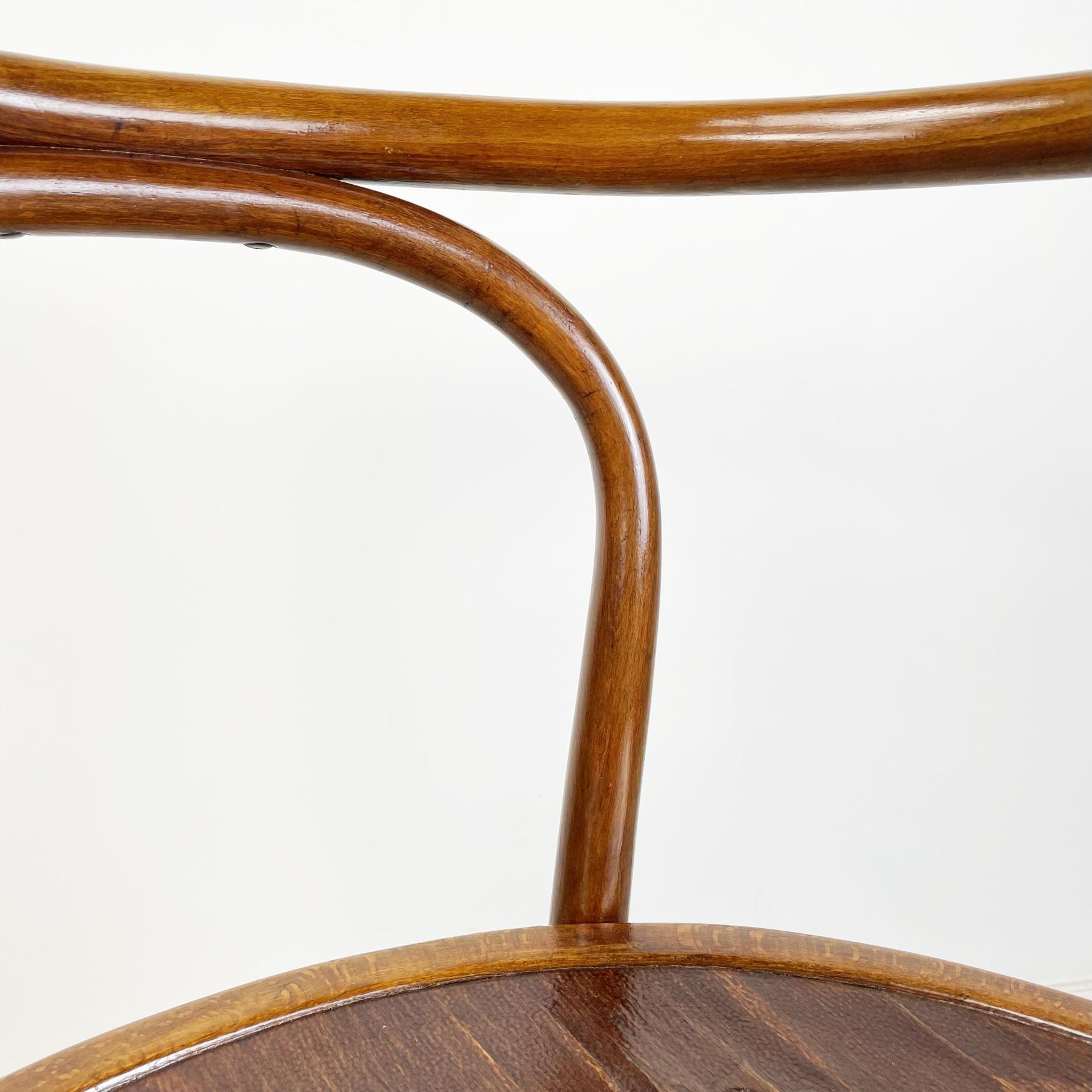 20th Century Austrian Chair in Wood with Embossed Floral Print by Thonet, 1900s