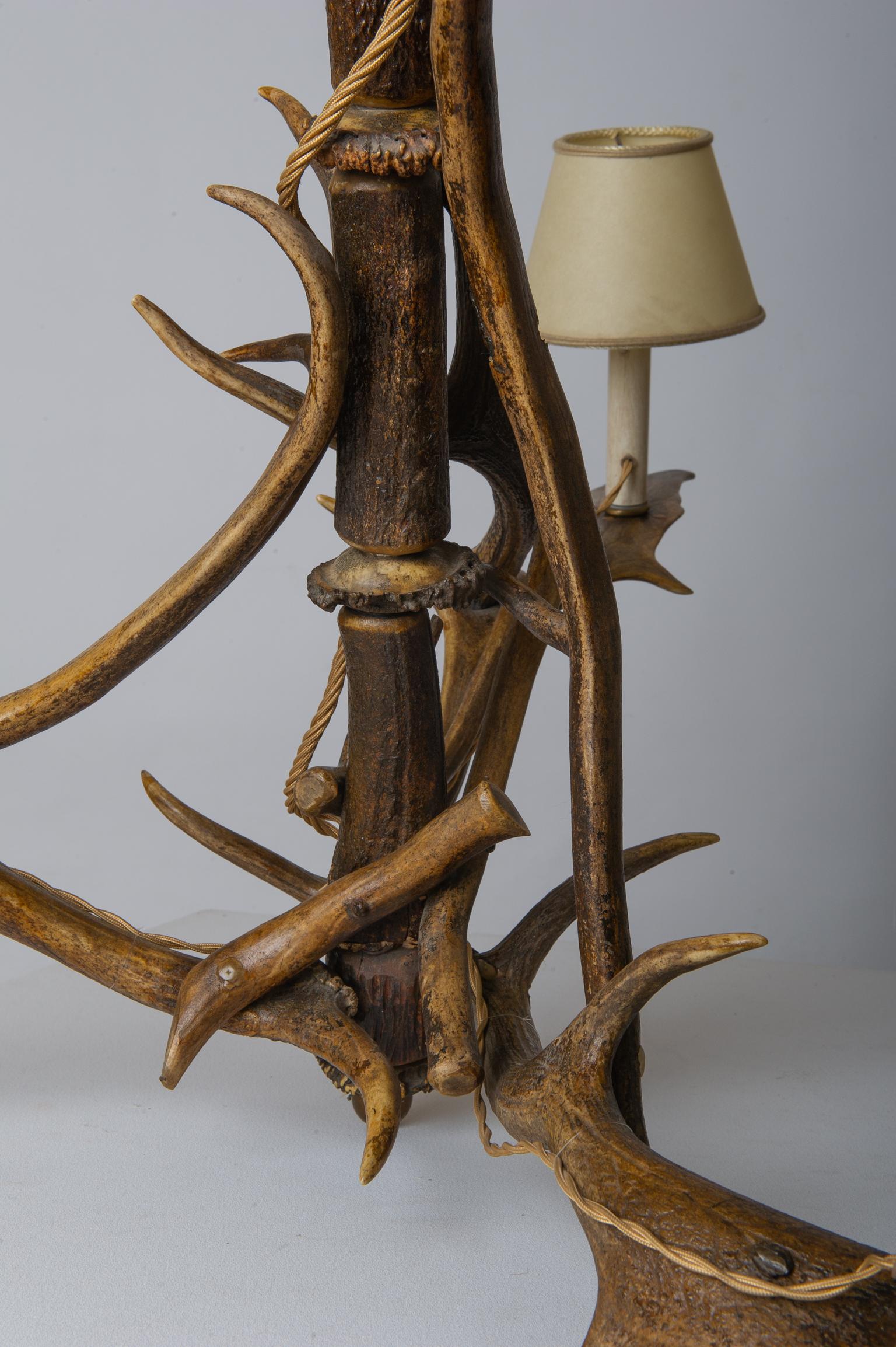 Horned Austrian Chandelier with Deer Antlers 6