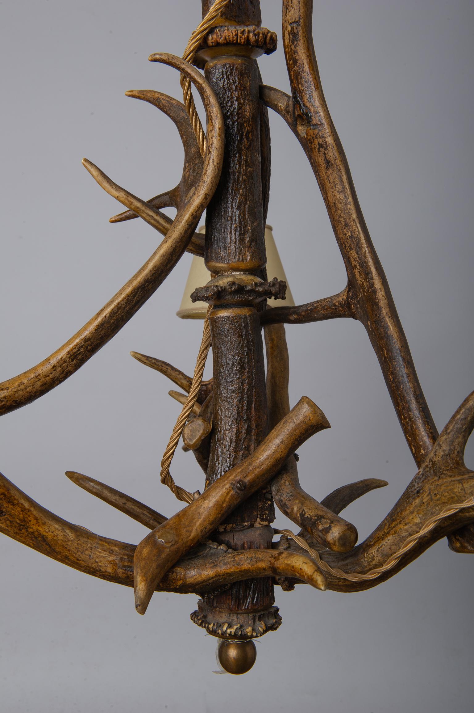 19th Century Horned Austrian Chandelier with Deer Antlers