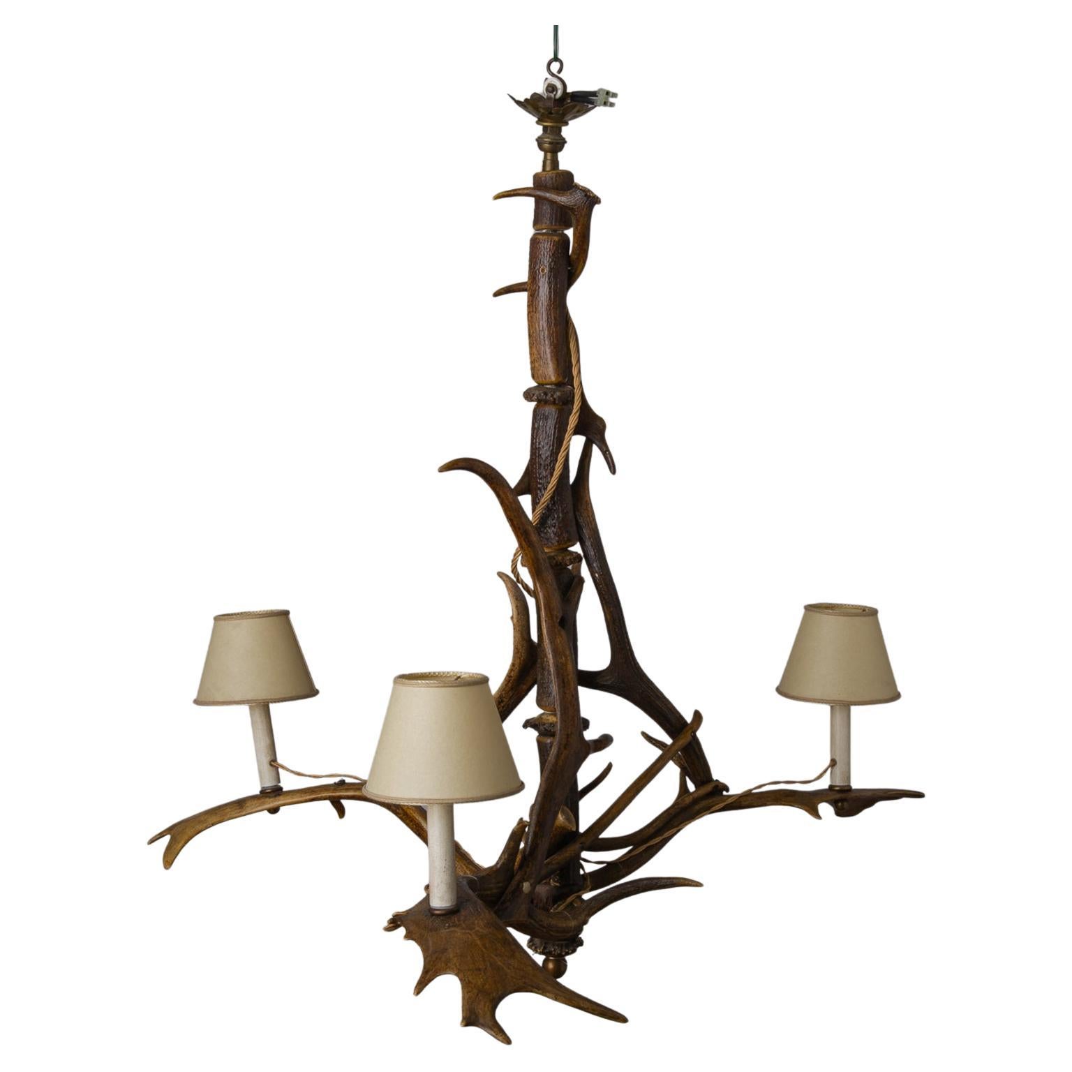 Horned Austrian Chandelier with Deer Antlers