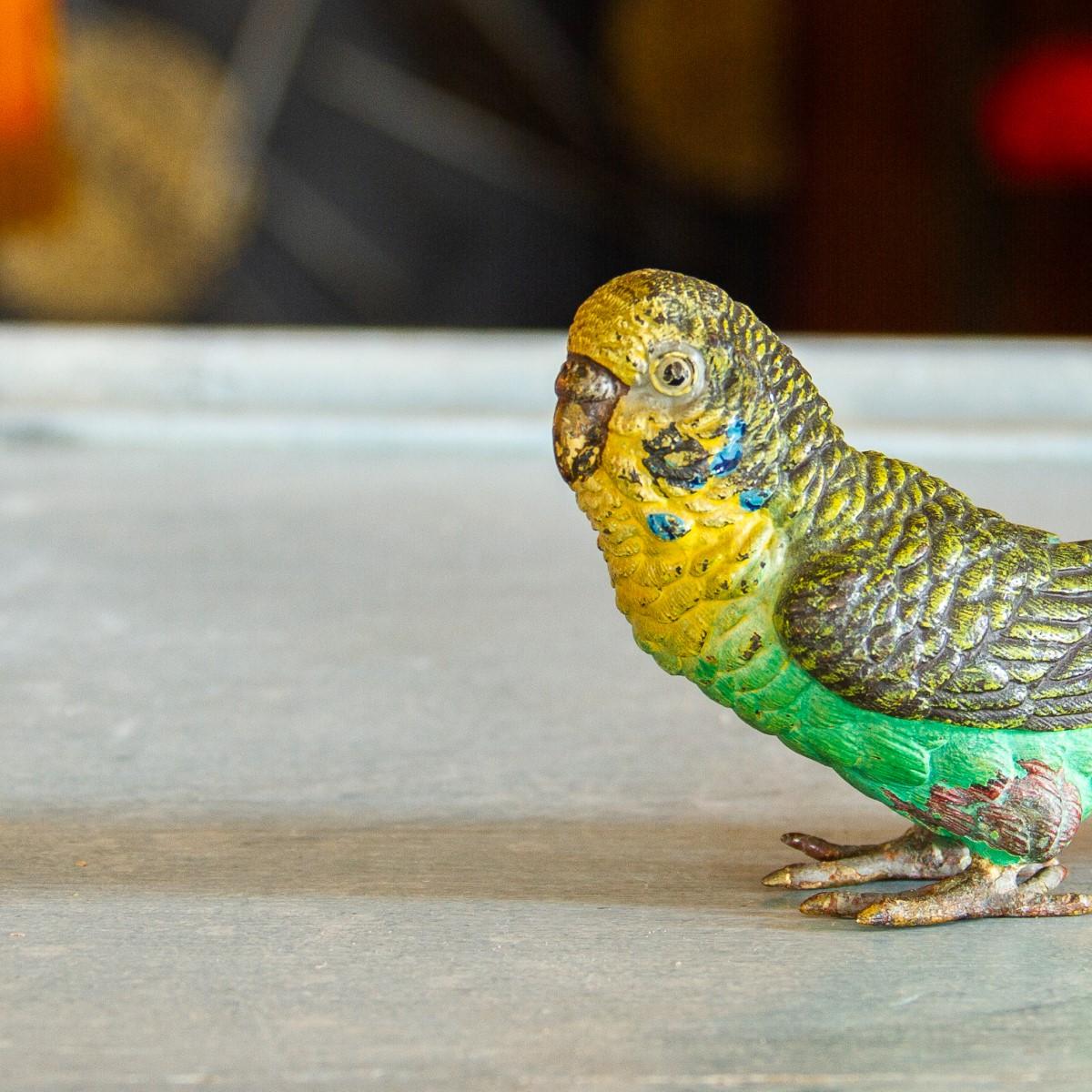 A late 19th century Austrian cold painted bronze budgie.

Cold painting is a technique where bronze figures, animals and lamps mostly, are covered in enamel paint resulting in a detailed and colorful sculptures. It became very popular in the Art