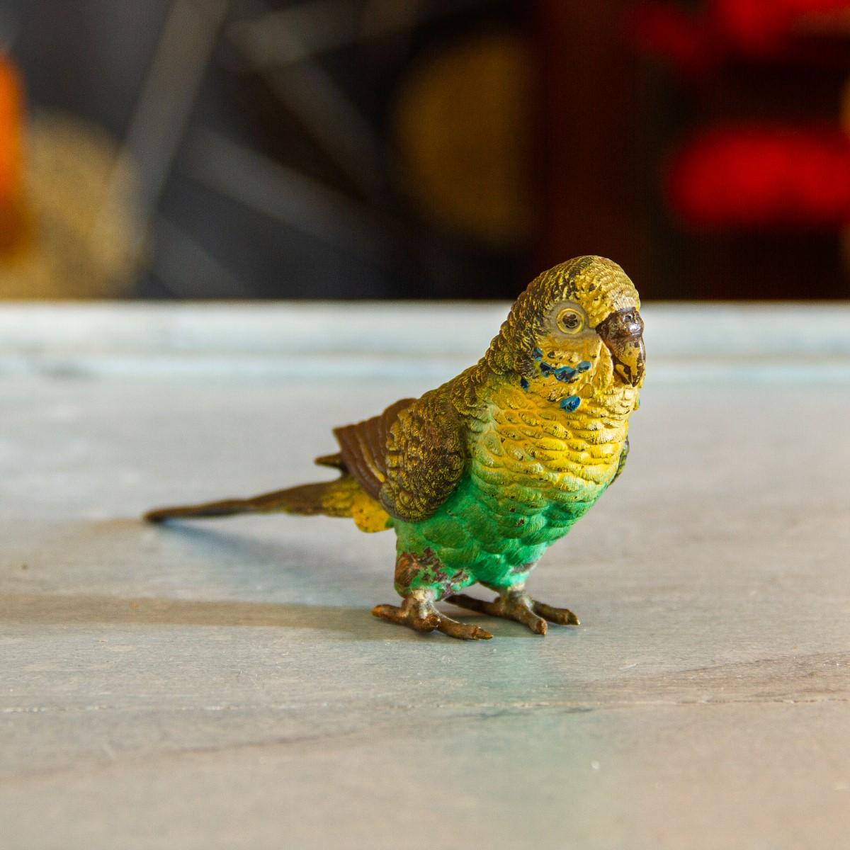 Austrian Cold Painted Bronze Budgerigar In Good Condition In Donhead St Mary, Wiltshire