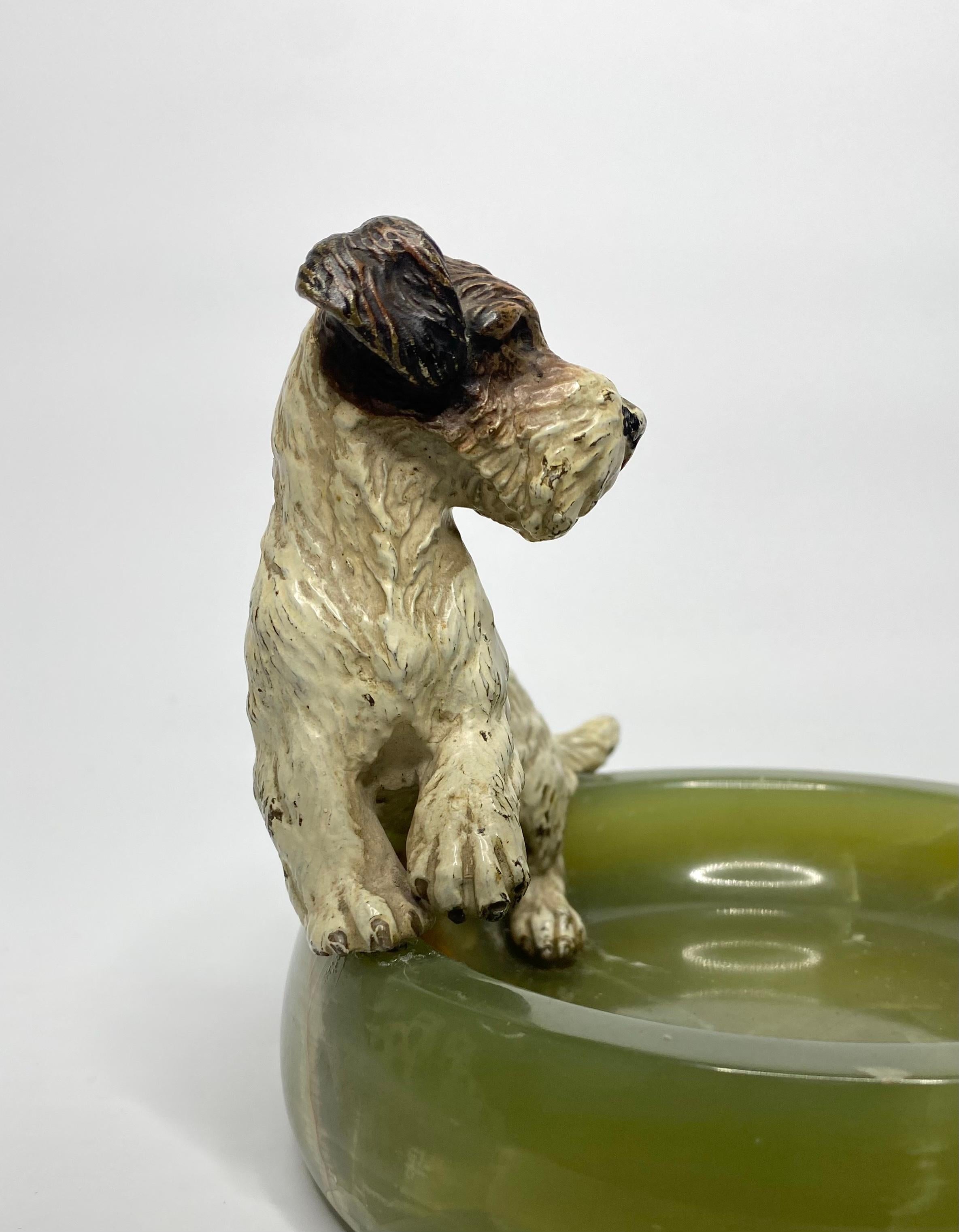 austrian terrier