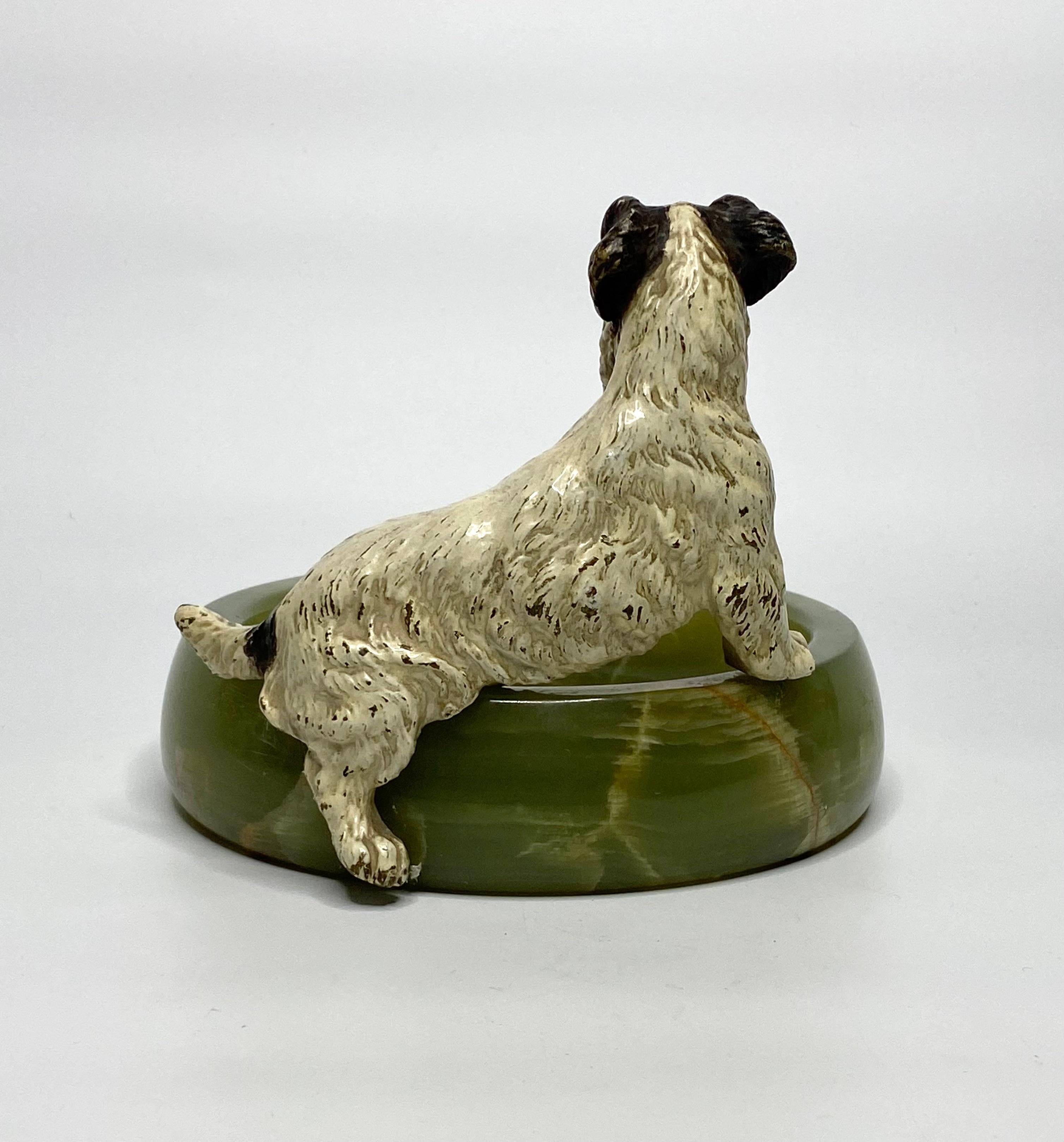fox terrier for sale