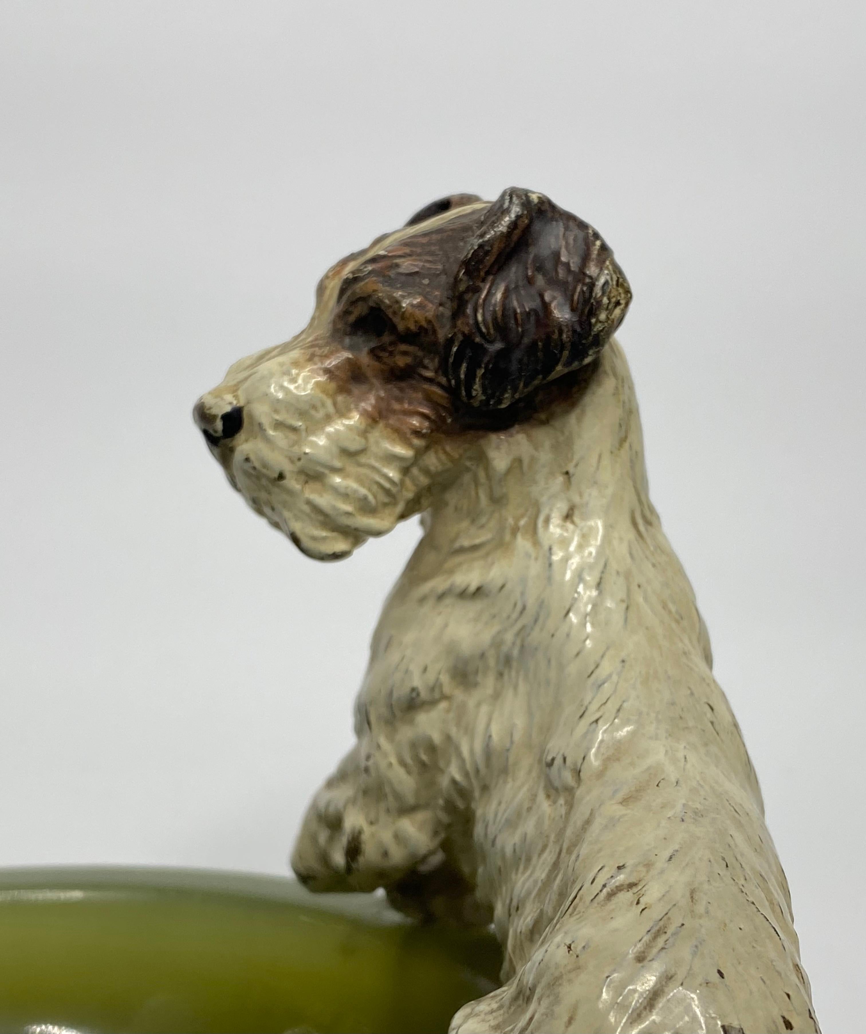 Early 20th Century Austrian Cold Painted Bronze Fox Terrier, circa 1900 For Sale