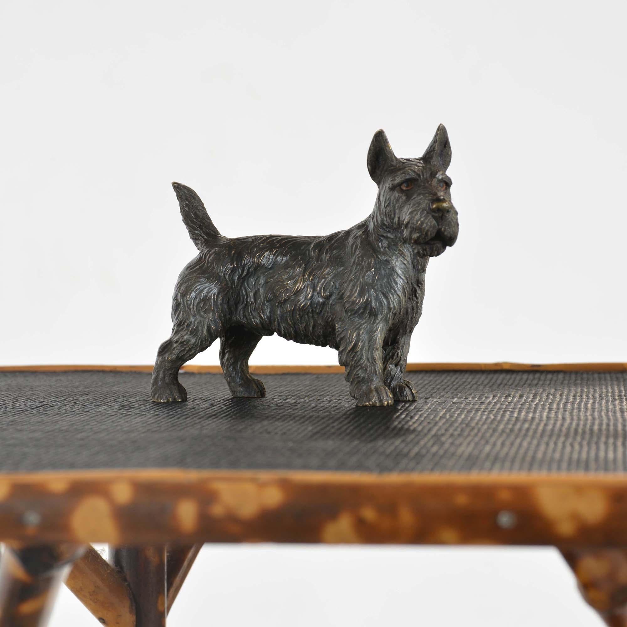 bronze autrichien peint à froid représentant un terrier écossais, ou « Scotie Dog » en vente 5