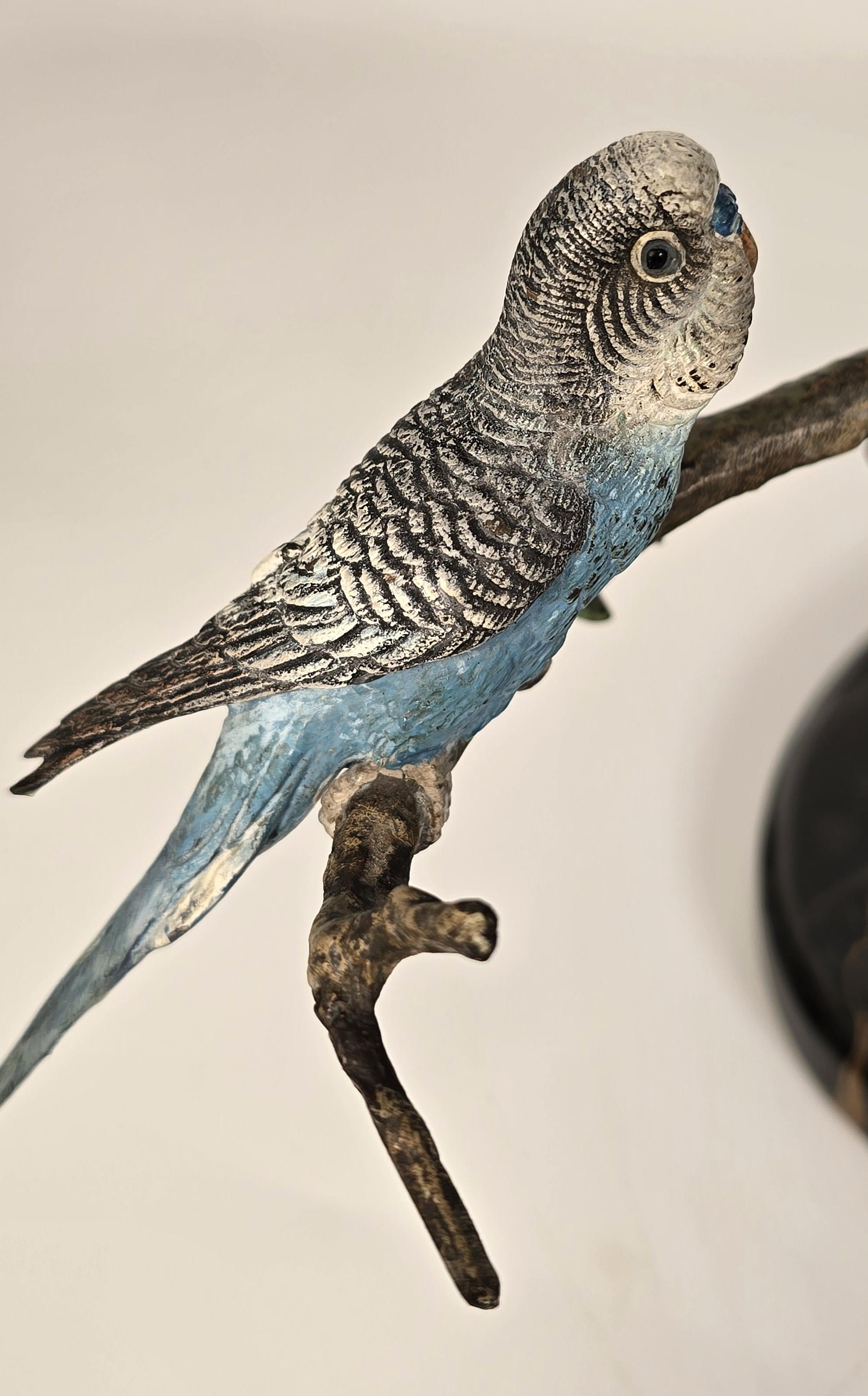 Bronce austriaco pintado en frío de tres periquitos sobre una rama hacia 1930 en venta 8