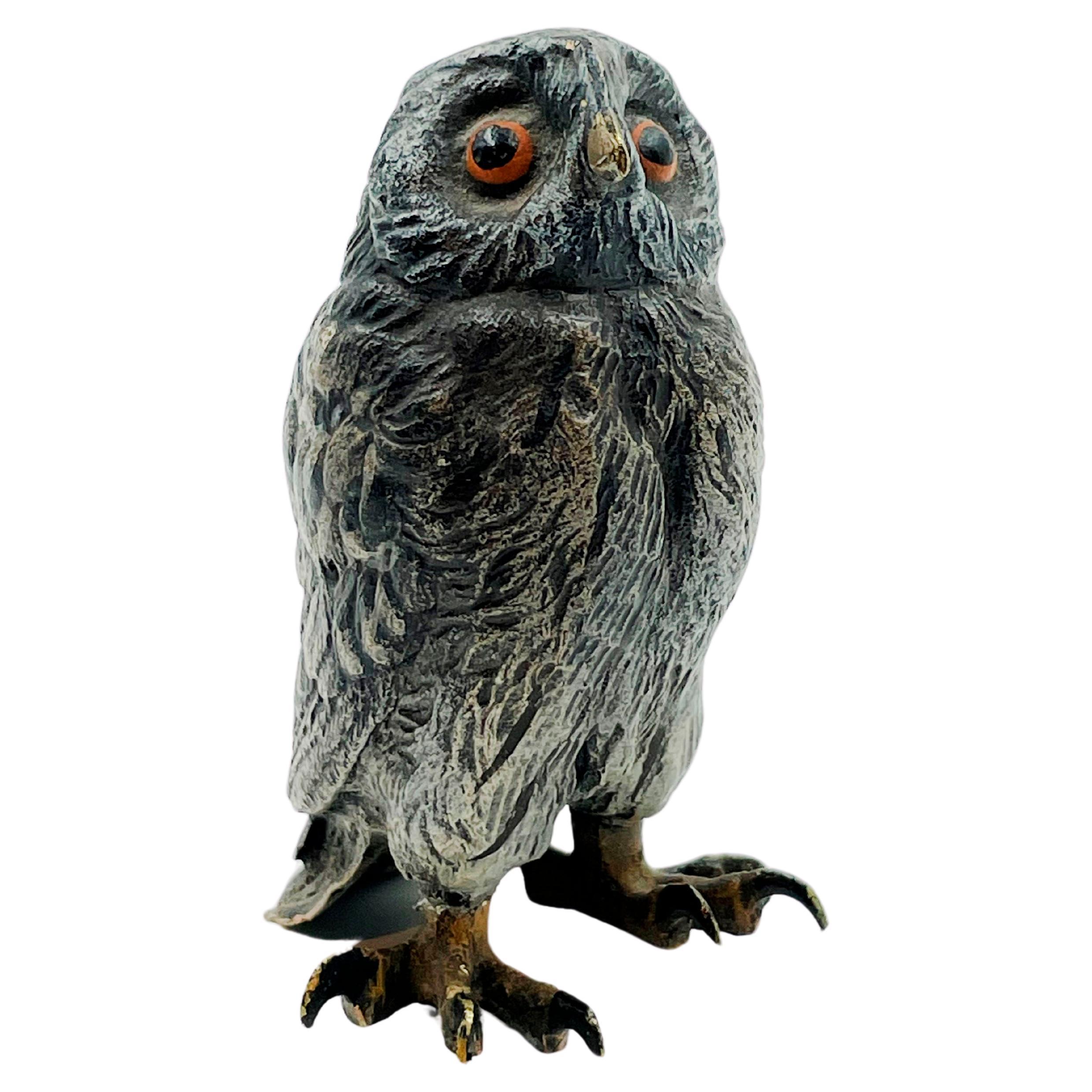 Austrian Cold-Painted Bronze "Owl" For Sale