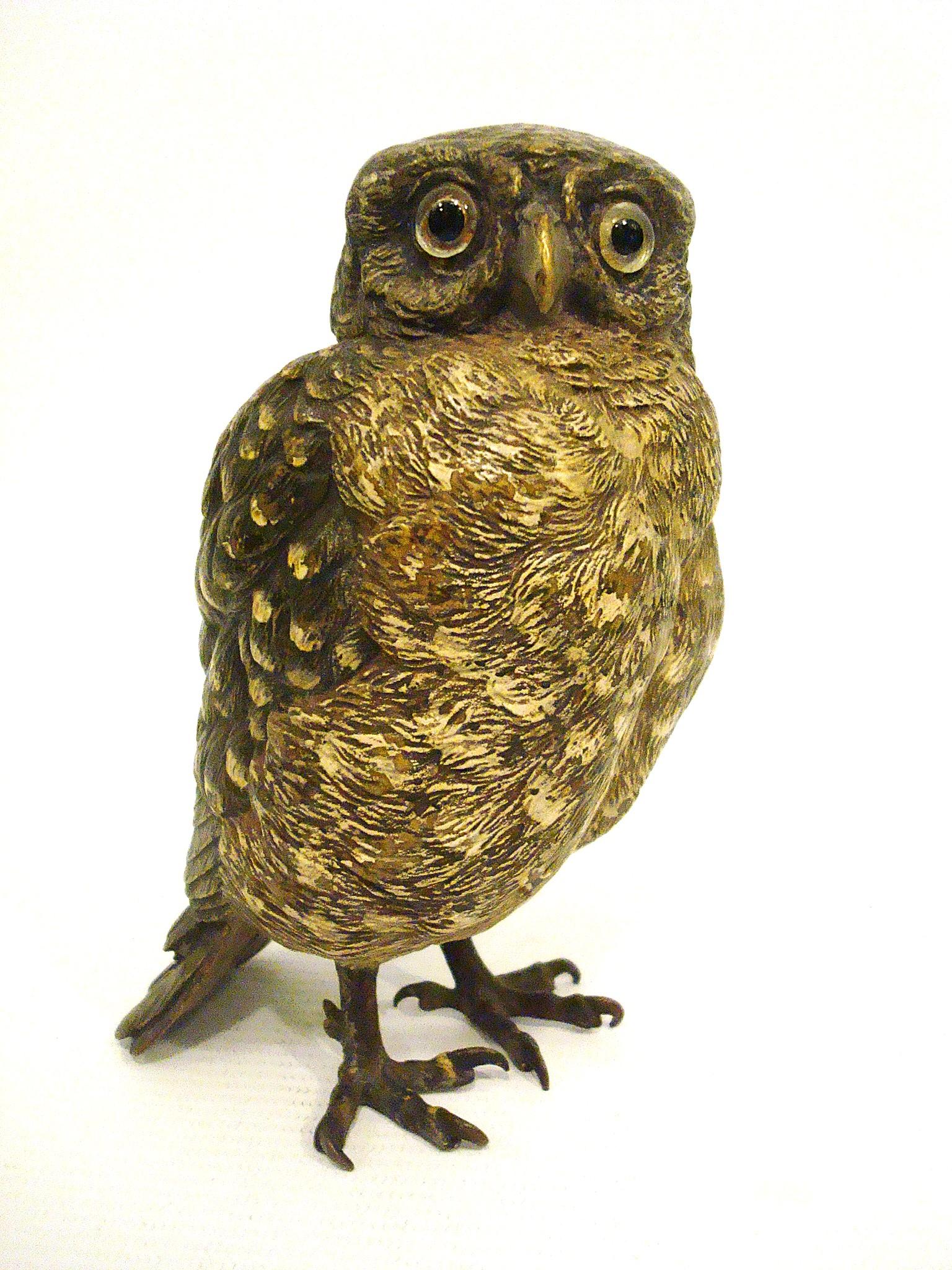 Scultura austriaca di gufo in bronzo dipinto a freddo. Bergmann 1900 in vendita 3