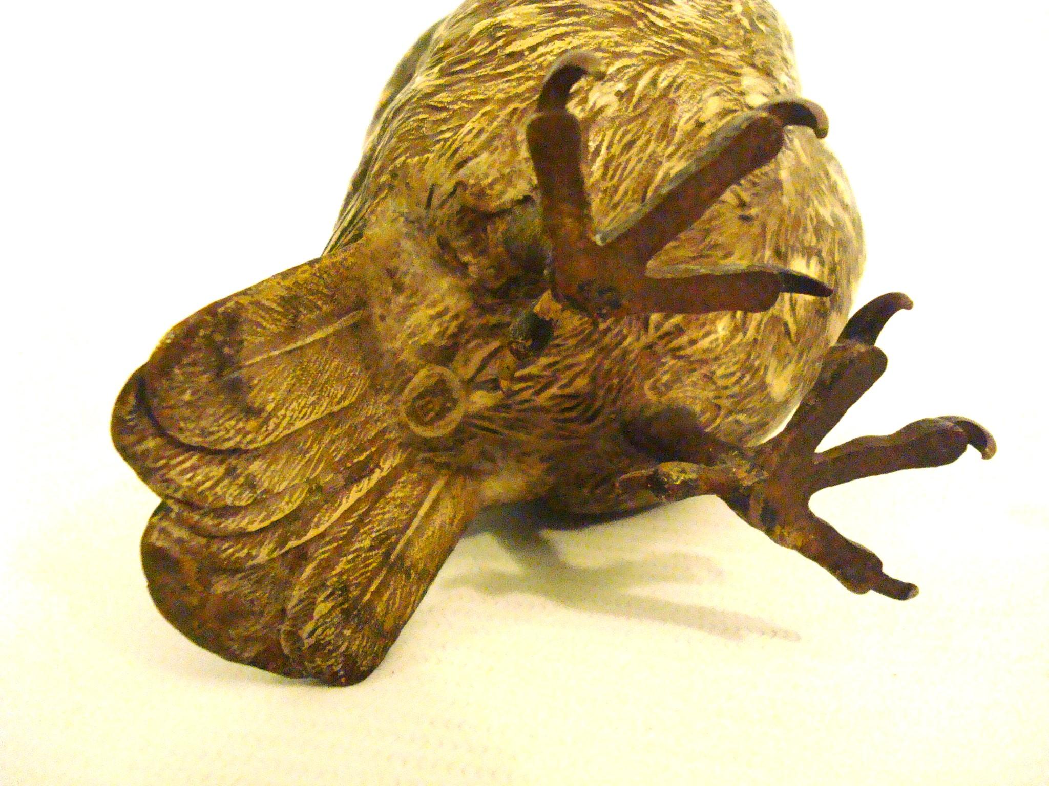 Bronzo Scultura austriaca di gufo in bronzo dipinto a freddo. Bergmann 1900 in vendita