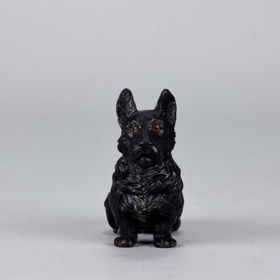 A very fine Austrian cold painted bronze of a seated terrier. The bronze has excellent original naturalistic cold painted colors and fine intricate detail, signed with the Bergman ‘B’ in an amphora vase.