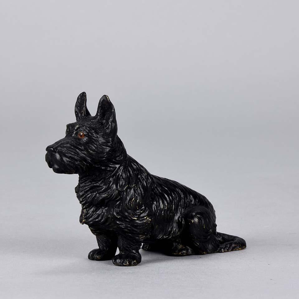Austrian Cold Painted Bronze 'Seated Terrier' by Franz Bergman (Sonstiges)