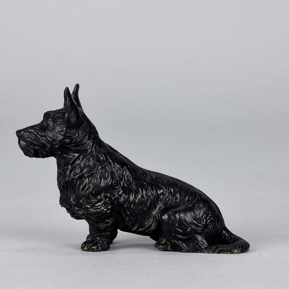 Austrian Cold Painted Bronze 'Seated Terrier' by Franz Bergman (Österreichisch)