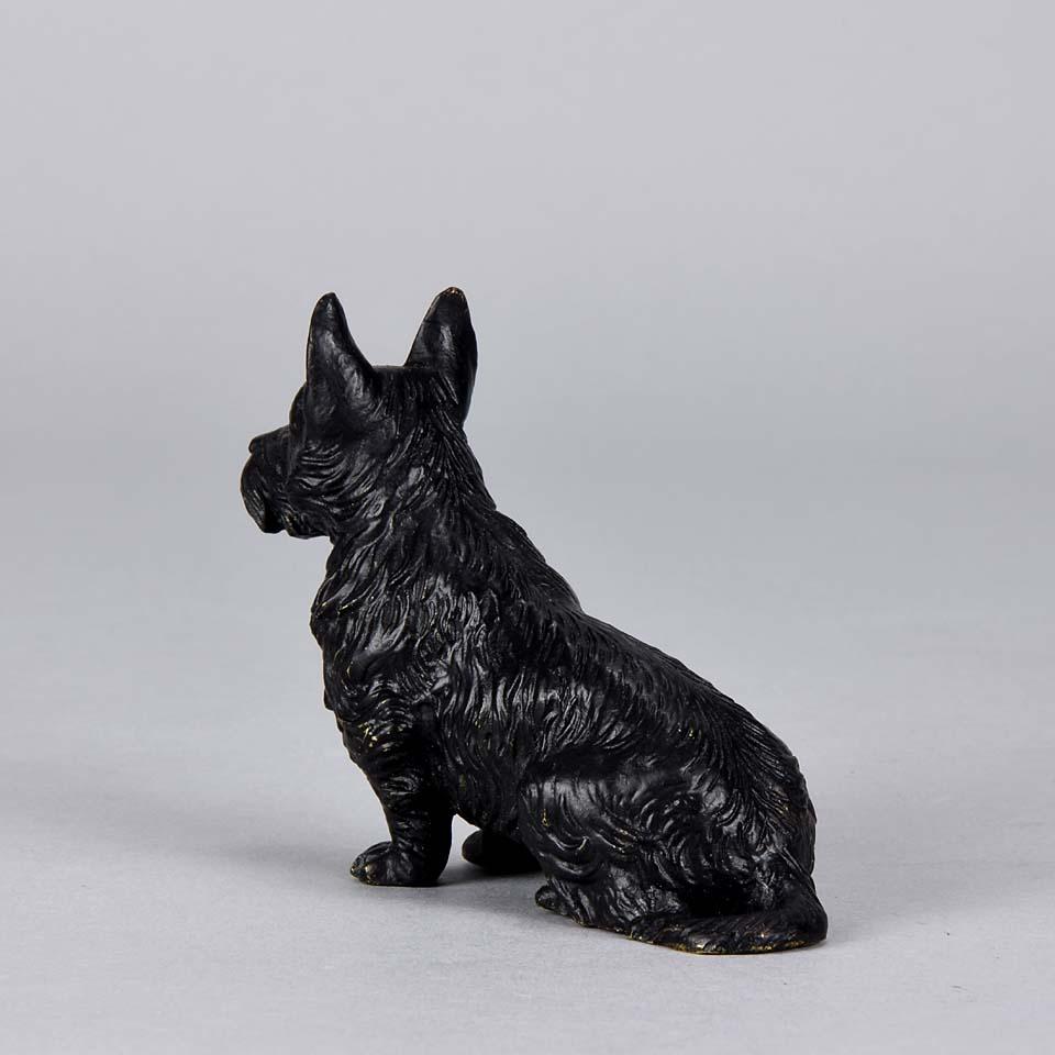 Austrian Cold Painted Bronze 'Seated Terrier' by Franz Bergman (Gegossen)