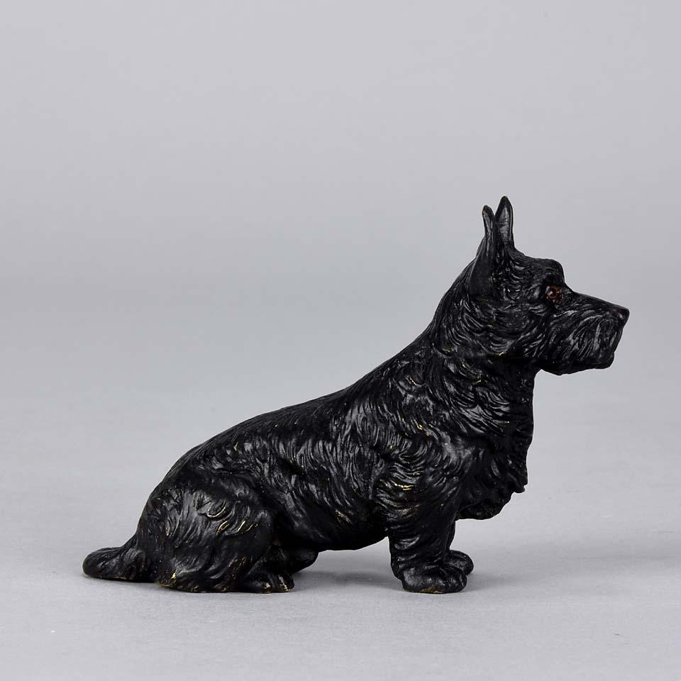 Austrian Cold Painted Bronze 'Seated Terrier' by Franz Bergman 1