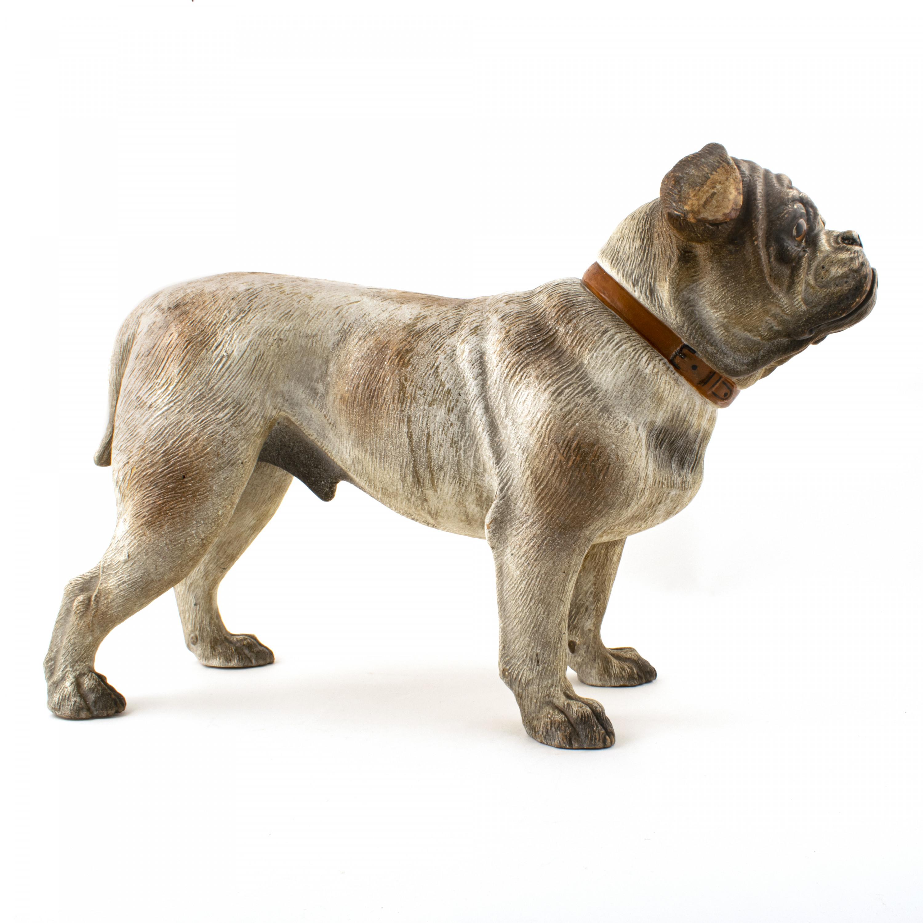 Austrian cold painted terracotta model of a bulldog in standing position.
Nice decorative collector’s item in very realistic and naturalistically cold painted terracotta with collar and inset glass eyes
Austria, early 20th century.