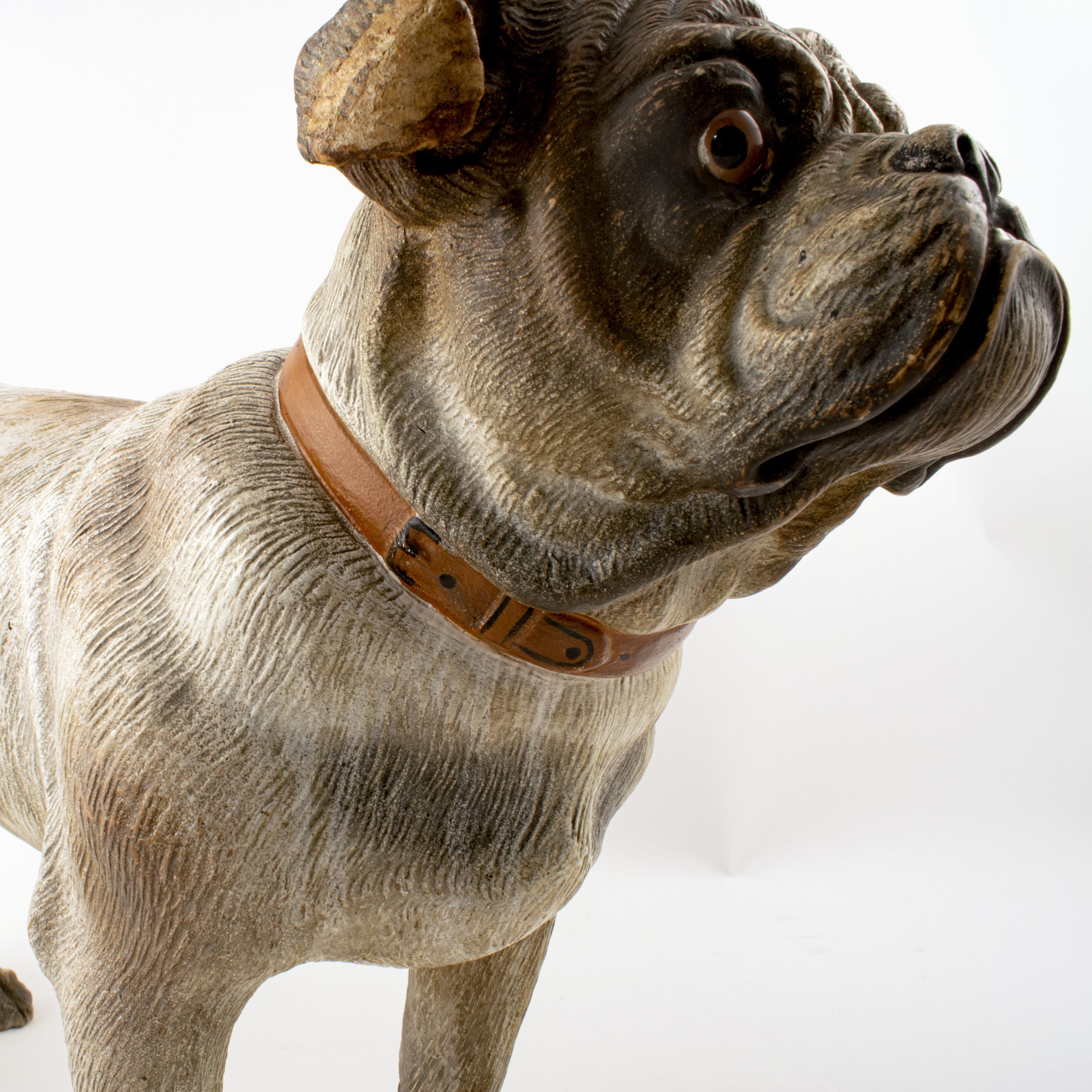 Austrian Cold Painted Terracotta Model of a Bulldog In Good Condition For Sale In Kastrup, DK