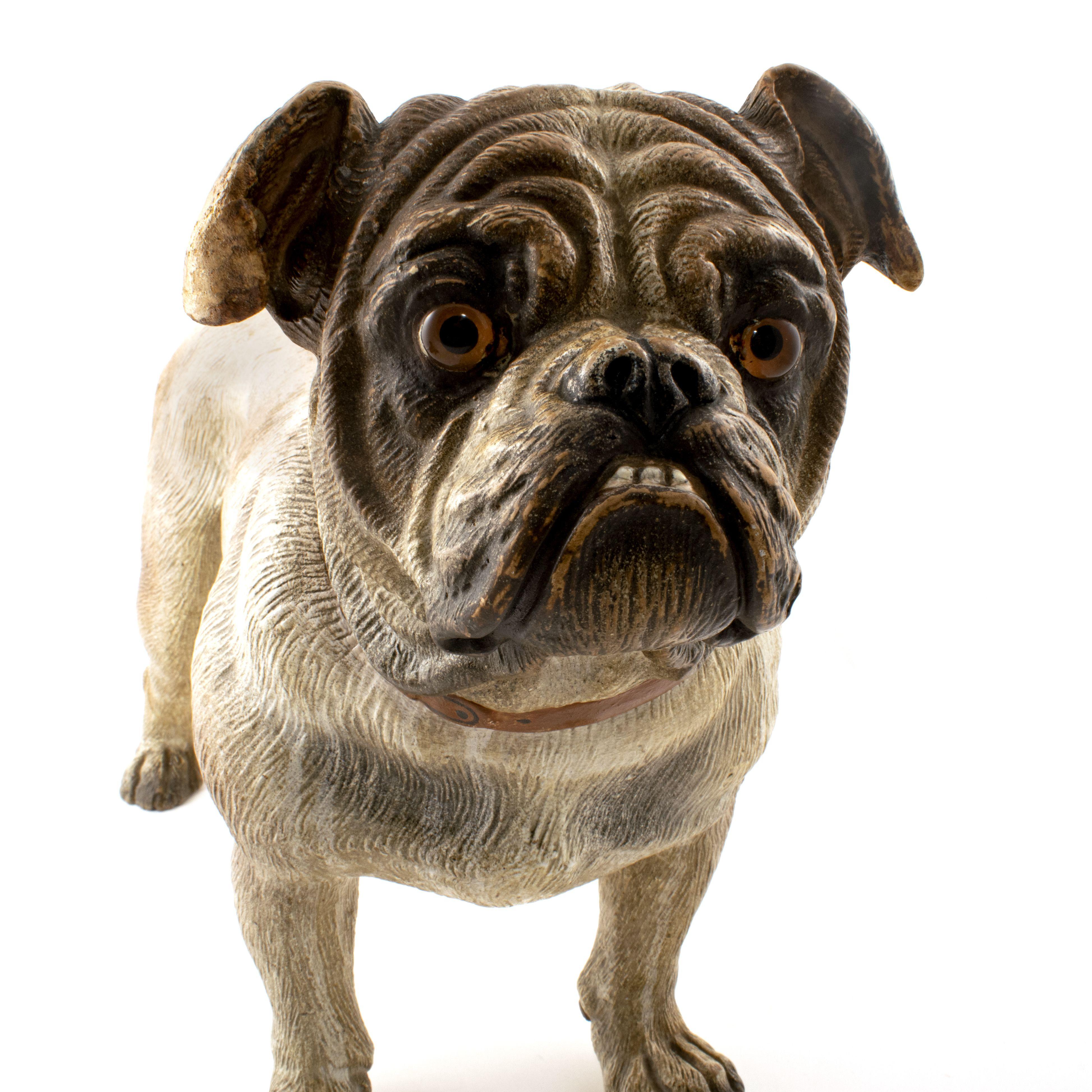 Modello austriaco in terracotta dipinta a freddo di un bulldog in vendita 2