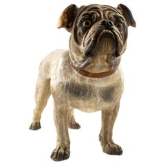 Austrian Cold Painted Terracotta Model of a Bulldog
