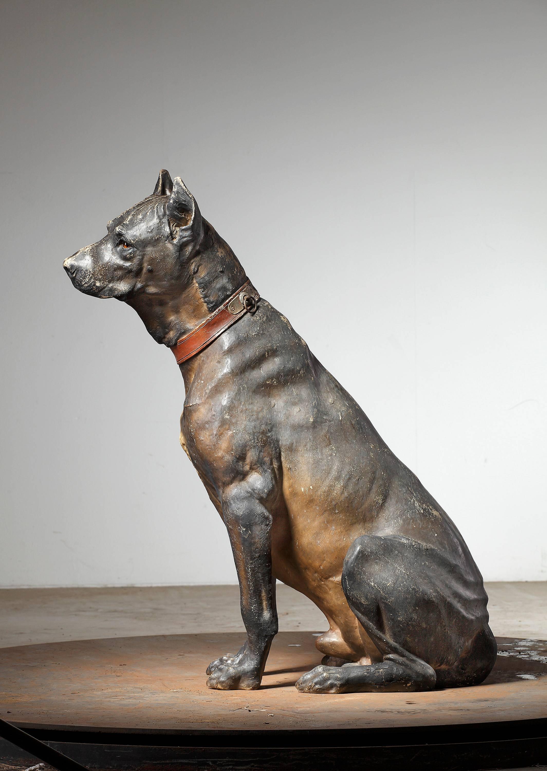 Austrian cold painted terracotta model of a seated dog, early 20th century. A naturalistically modelled hound with inset glass eyes and portrayed wearing a leather collar.