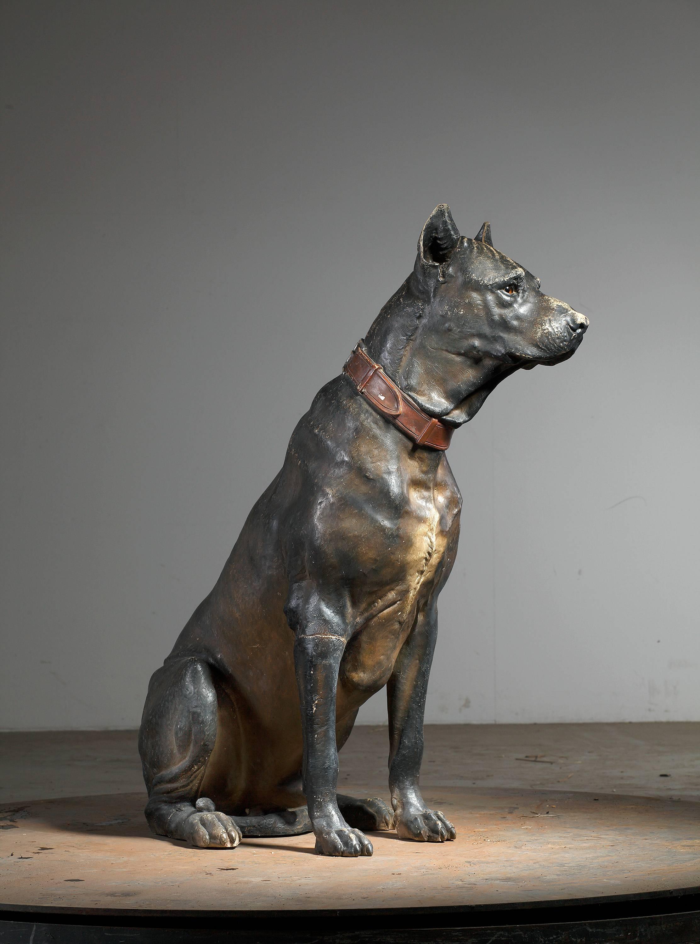 Other Austrian Cold Painted Terracotta Model of a Seated Dog, Early 20th Century