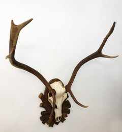 Austrian Deer Antler Mount on Black Forest Carved Wood Plaque