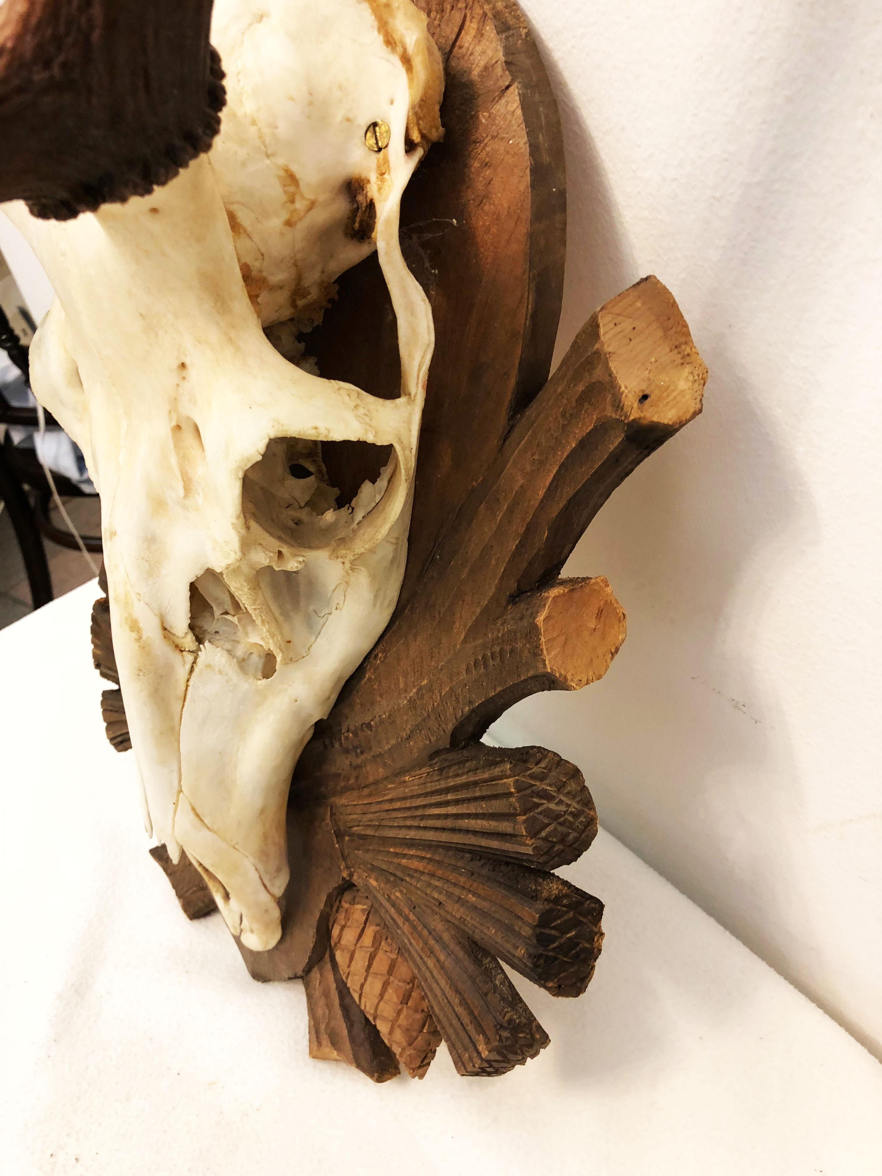 Montura de asta de ciervo austriaco en placa de madera tallada Black Forest Alemán en venta