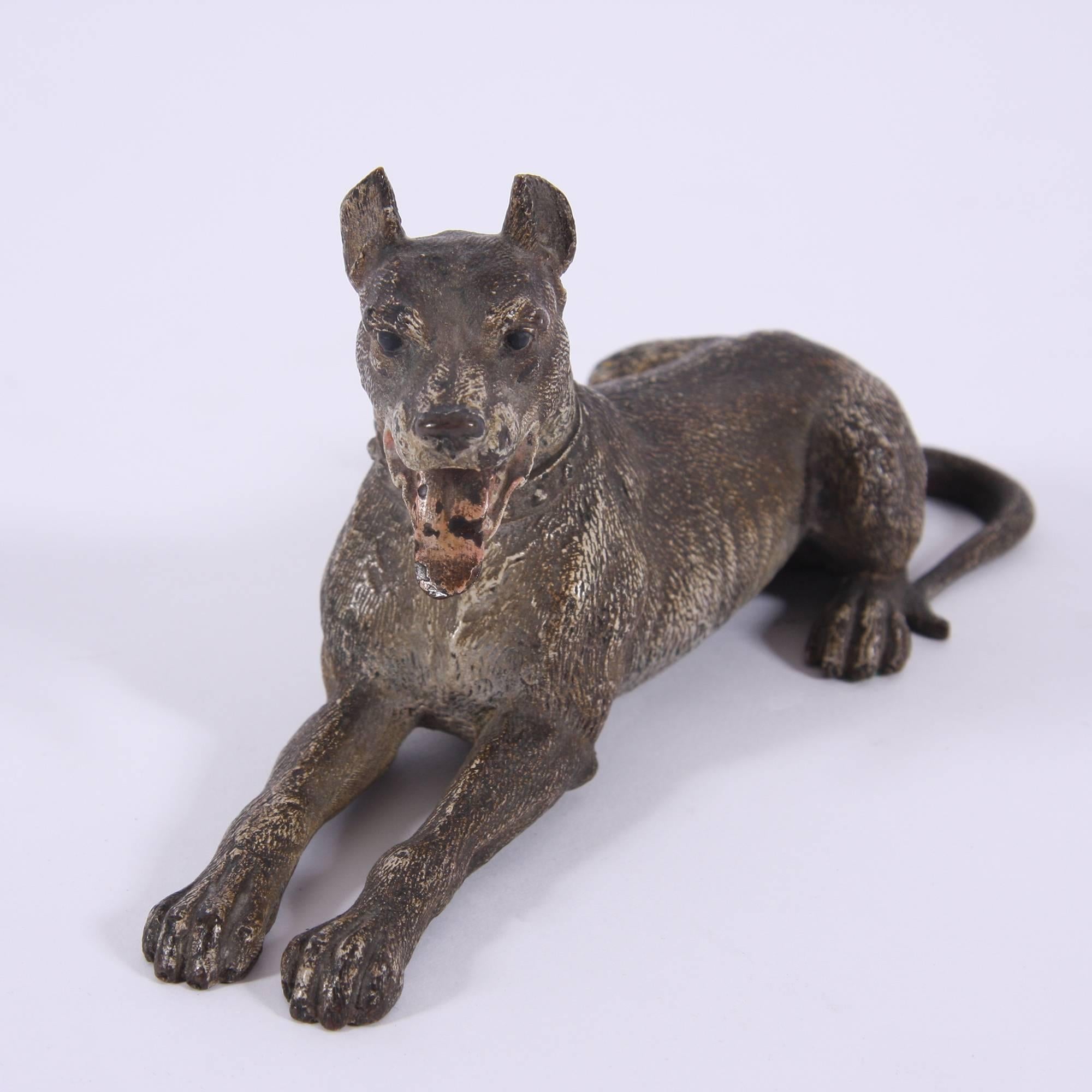 Österreich, Anfang 20. Jahrhundert

Kalt bemalte Bronzefigur einer Dogge in der Art von Franz Bergman. Er trägt ein Nietenhalsband.

Atemberaubende Details und Farbe, mit einigen Schäden an der Farbe im Einklang mit seinem Alter.