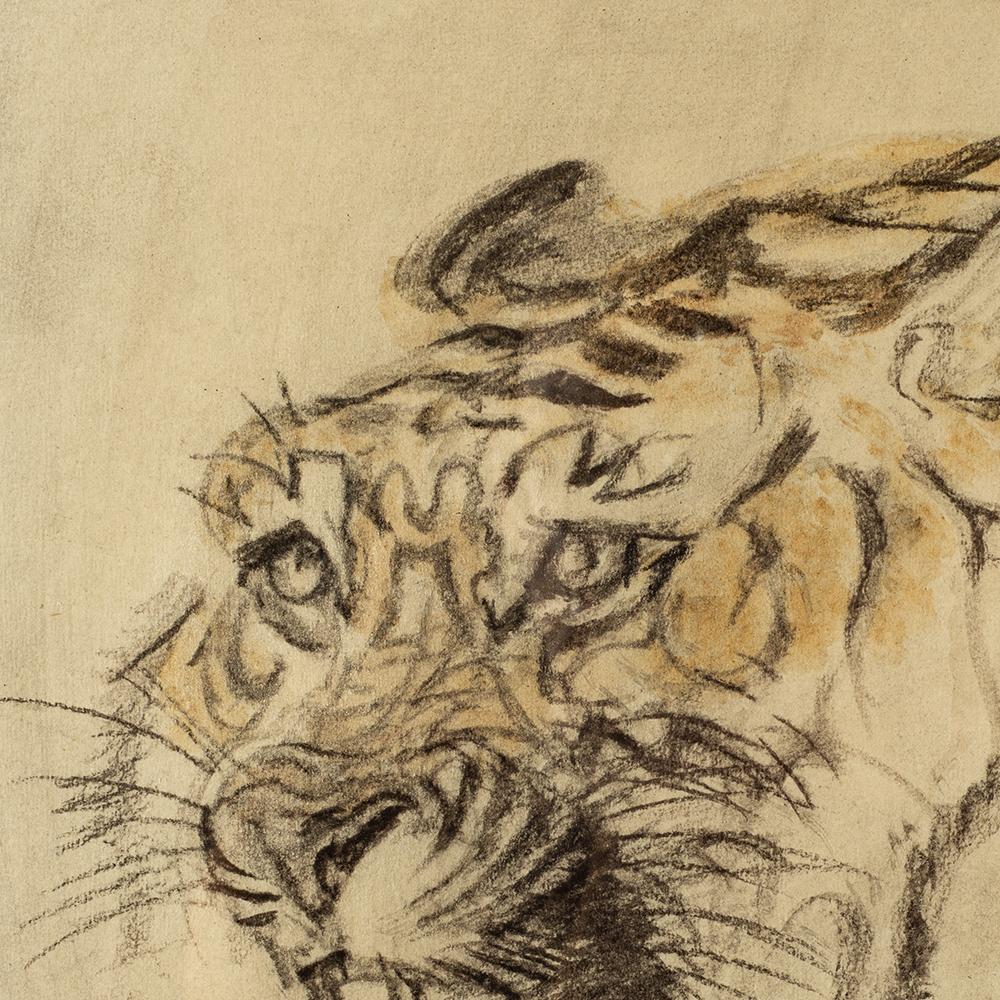 Austrian Jugendstil Animal Drawing Tiger head by Ludwig Heinrich Jungnickel ca. 1935 Charcoal and Watercolor on Paper

Ludwig Heinrich Jungnickel is without doubt one of the most important animal painters of the 20th century. With his numerous
