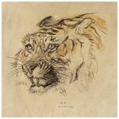 Austrian Jugendstil Animal Drawing Charcoal Watercolor Tiger Jungnickel ca. 1935