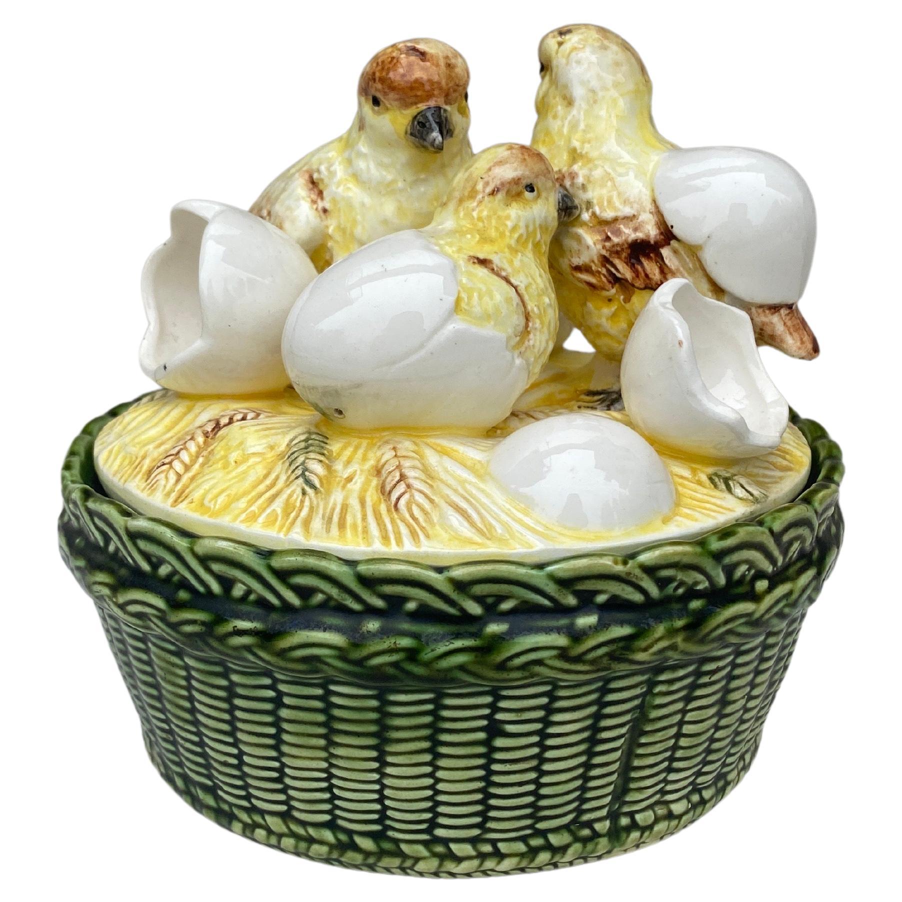 Austrian Majolica Chicks & Eggs Basket Circa 1900 For Sale