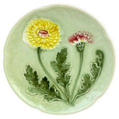 Austrian Majolica Plate Dandelion, circa 1890