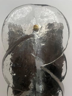 Austrian Mid-Century "Citrus" Clear Murano Wall Sconce by Kalmar, 1970s