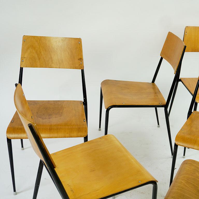 Mid-Century Modern Austrian Midcentury Beechwood Stacking Chairs by Sonett For Sale