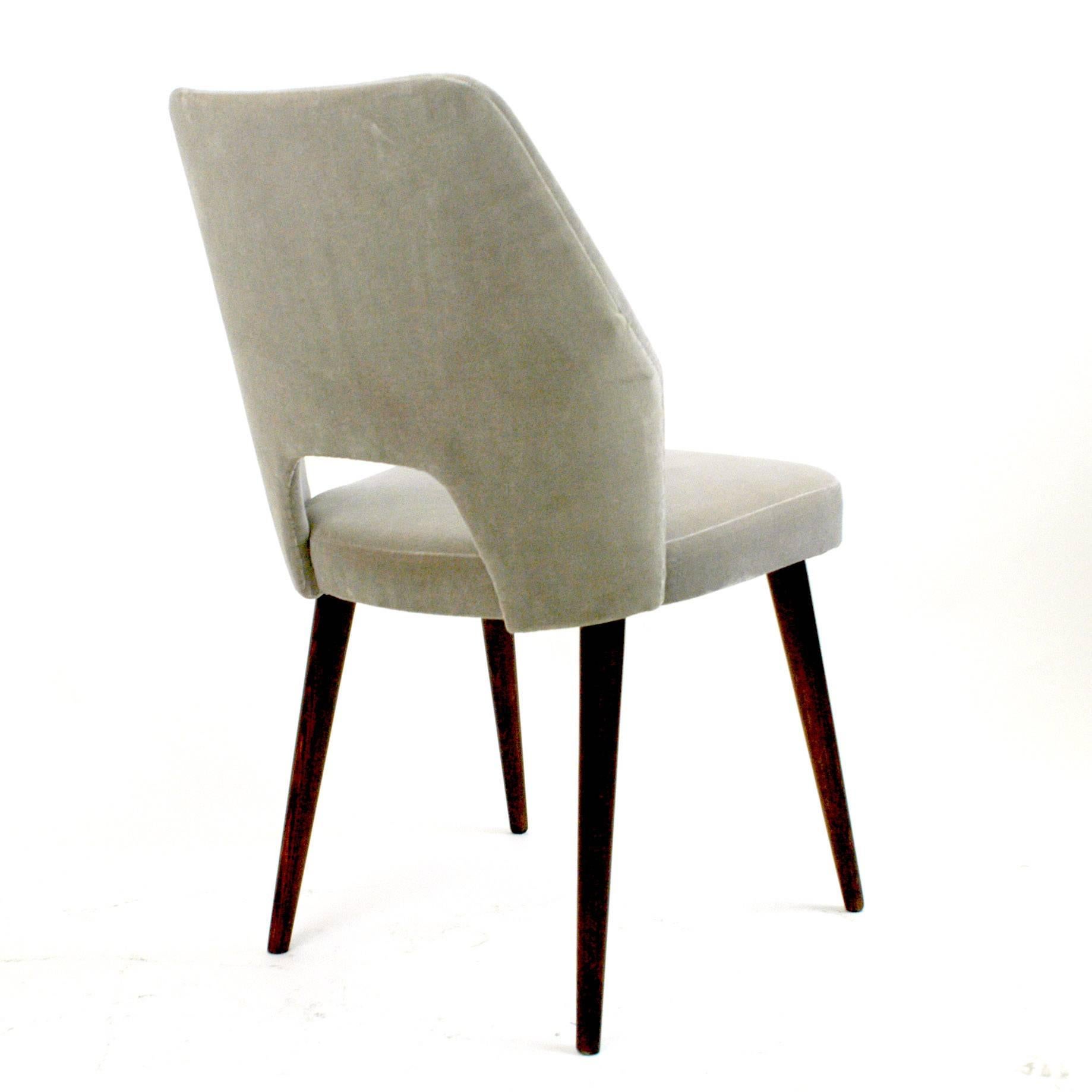 Elegant and comfortable dining or side chair, completely restored and reupholstered with excellent new Kvadrat Velvet by Raf Simons.
It has been produced by TON Czech Republic, formerly wellknown as Thonet. The color of the velvet has a slightly
