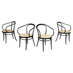 Österreichische moderne Stühle aus Stroh und schwarzem Holz, Modell 209, von Michael Thonet, Radomsko, 1970er Jahre