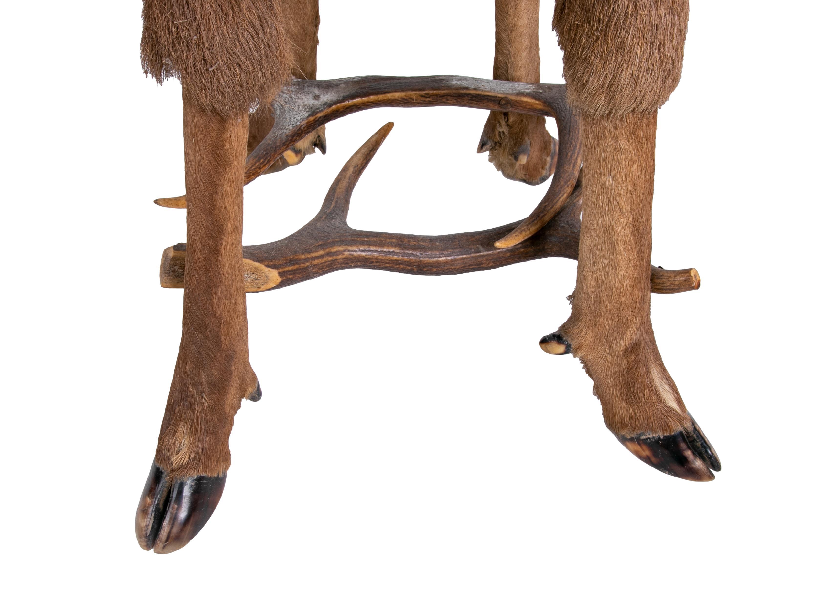 Austrian Pair of Armchairs Made of Antlers, Animal Backrest and Seat For Sale 8