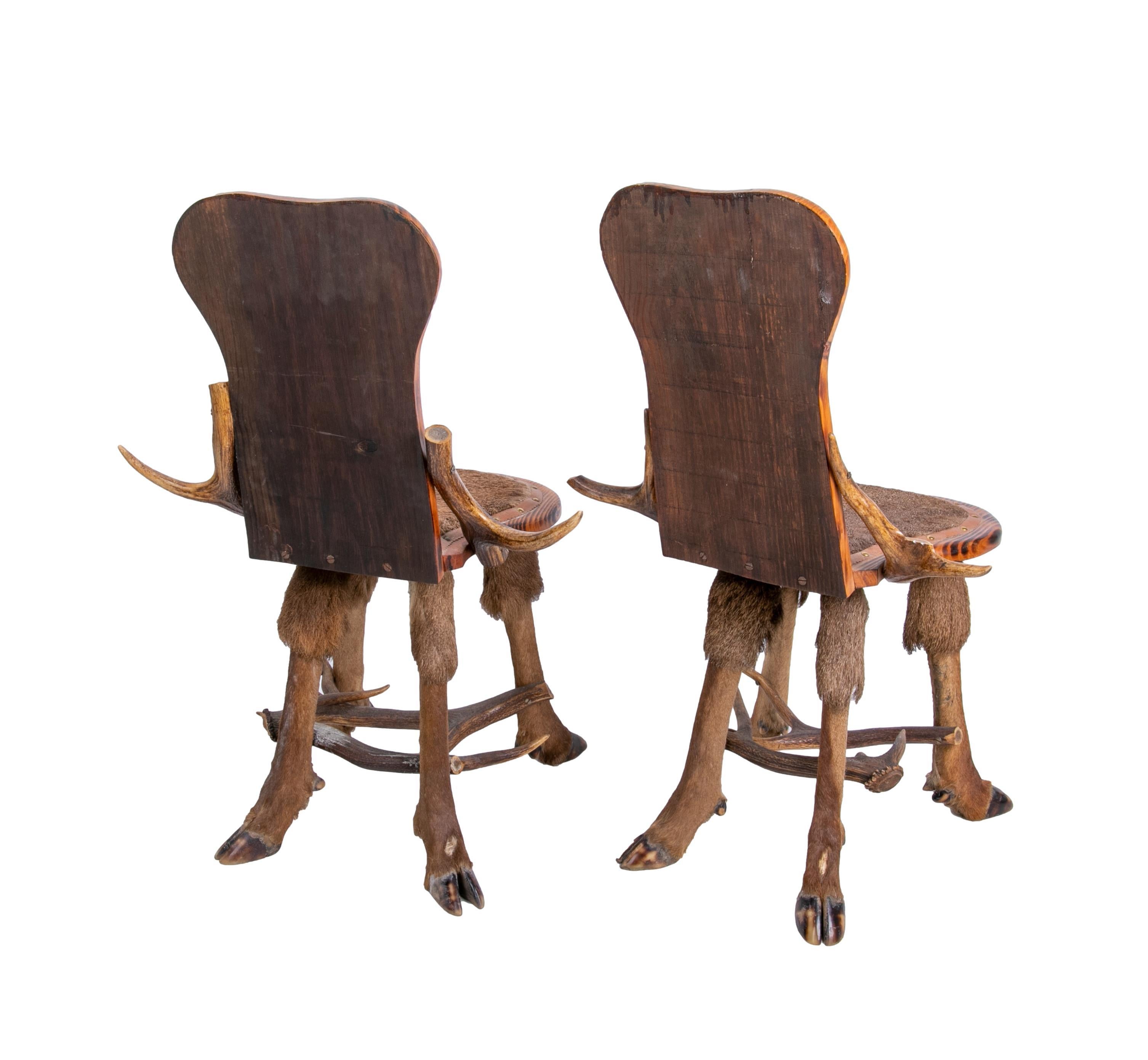 20th Century Austrian Pair of Armchairs Made of Antlers, Animal Backrest and Seat For Sale