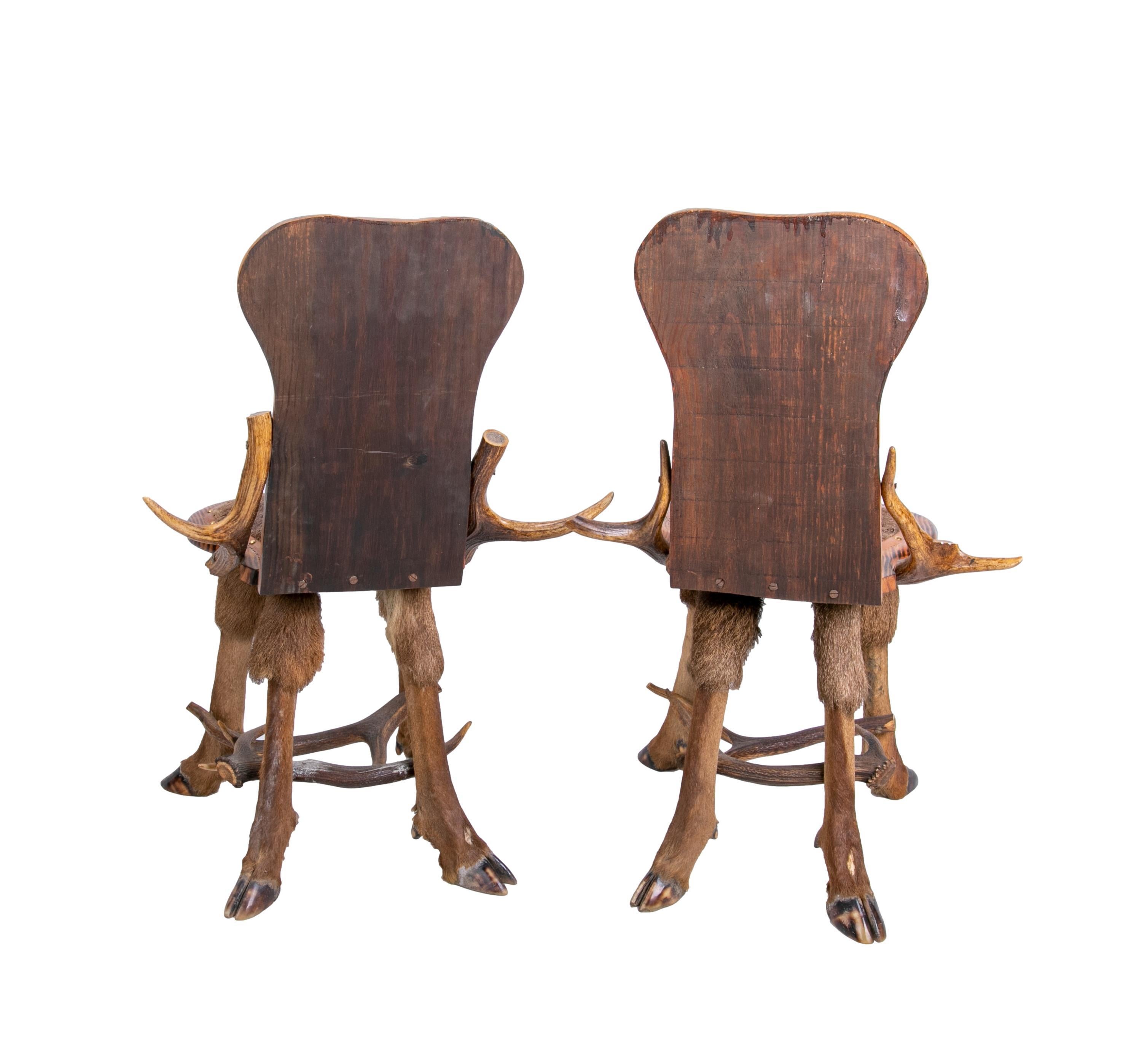 Horn Austrian Pair of Armchairs Made of Antlers, Animal Backrest and Seat For Sale