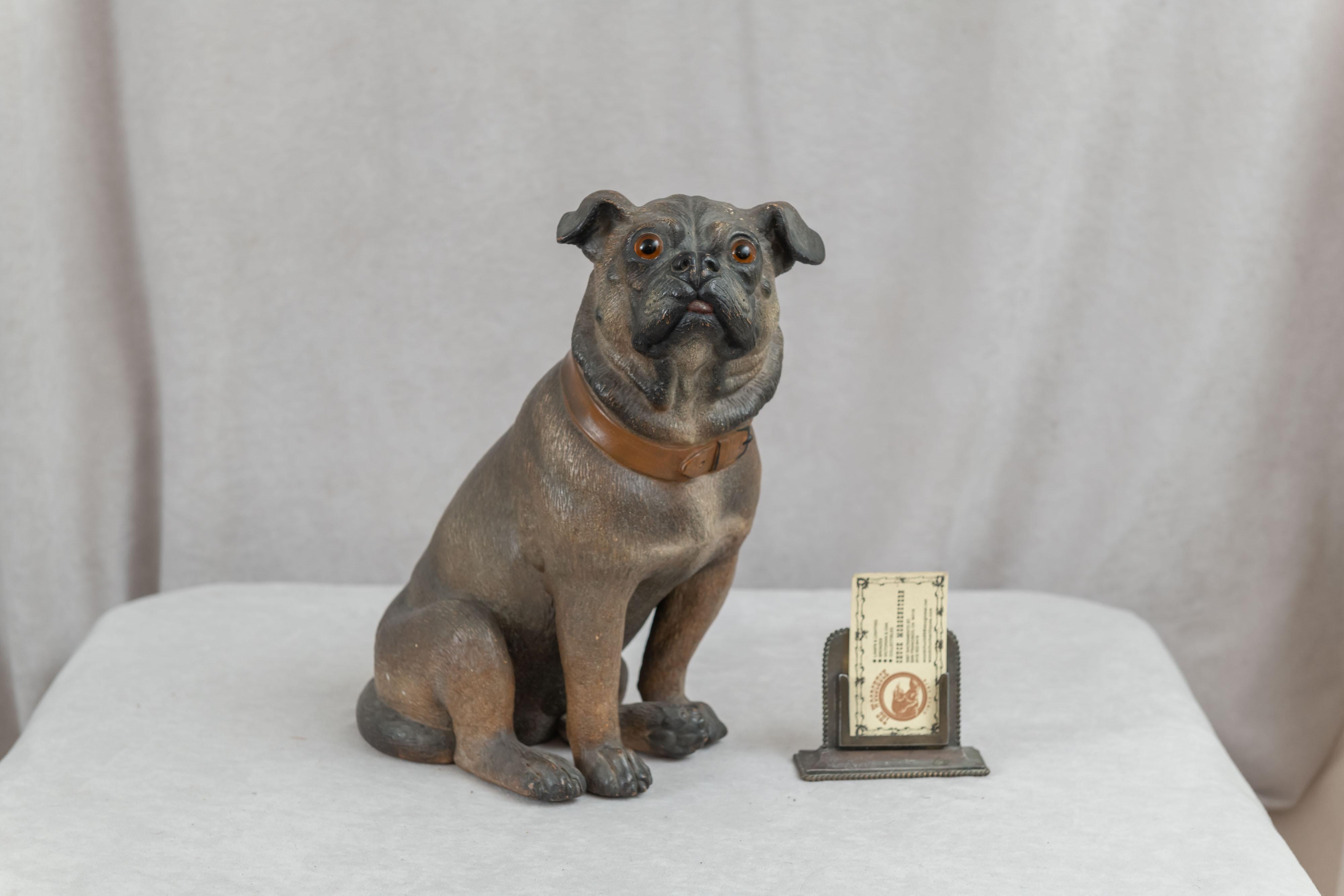 This very life-like pug is a fine example of a well executed terra cotta sculpture. It is hand painted and has the desirable glass eyes which are a wonderful addition to any sculptures of this ilk. His expression, and the little additions, like his