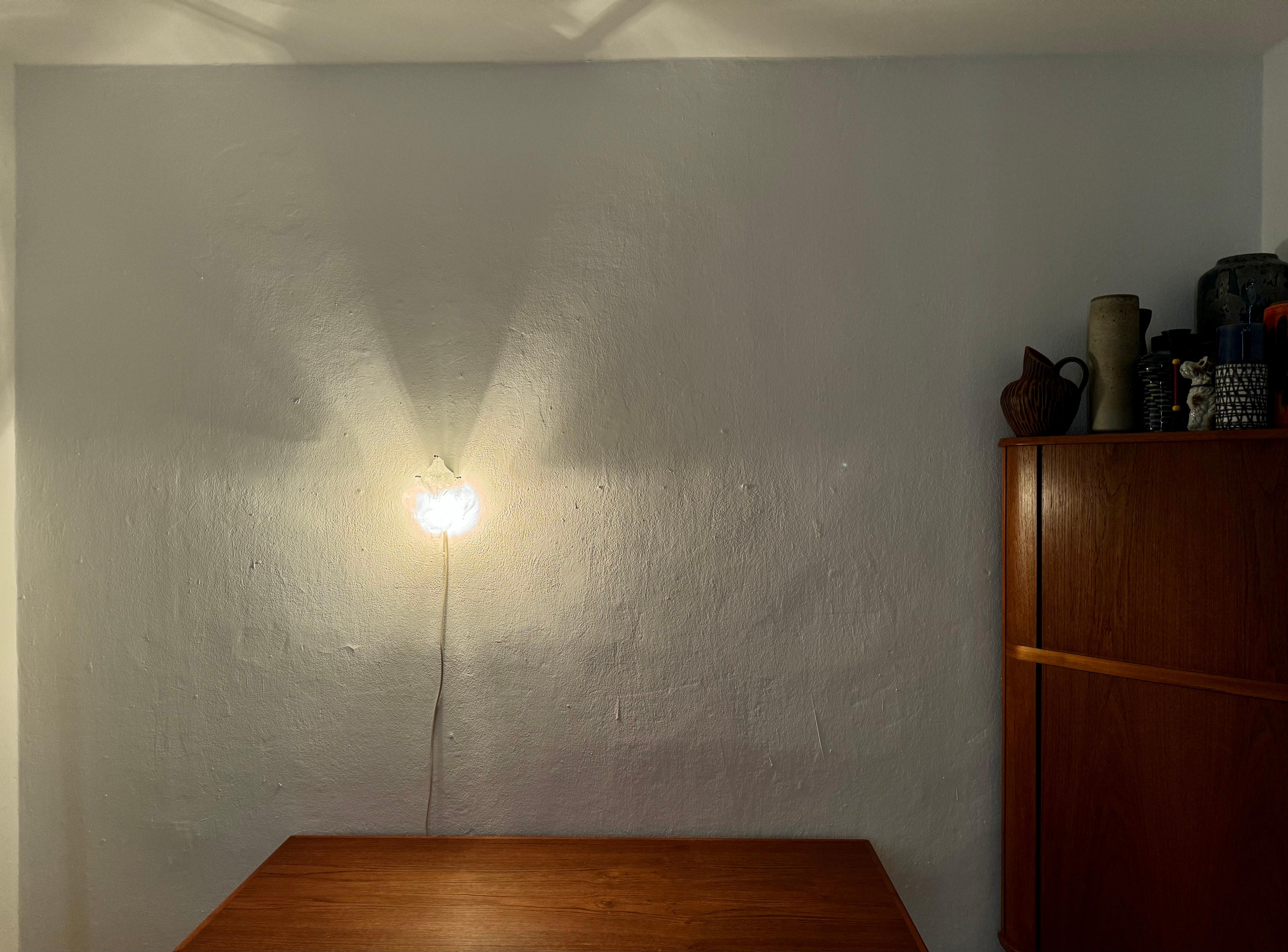 Lámpara de pared austriaca Tulipan de J.T. Kalmar en venta 4