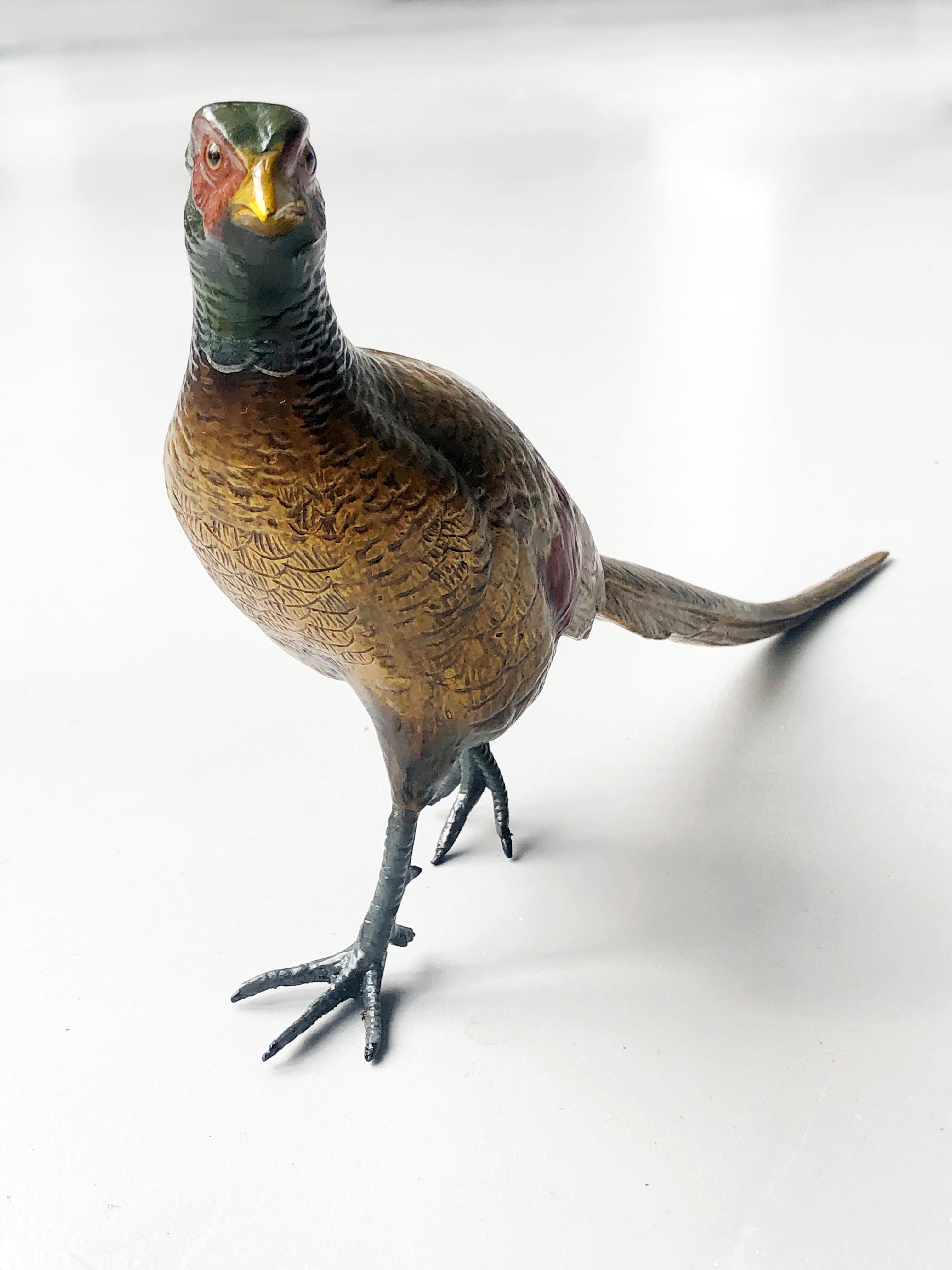 Austrian Viennese Bronze Pheasant Franz Bergman, 19th Century In Good Condition For Sale In EINDHOVEN, NL