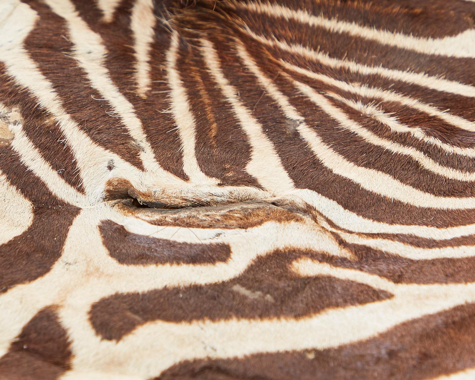 Authentic African Zebra Hide Carpet Rug 5
