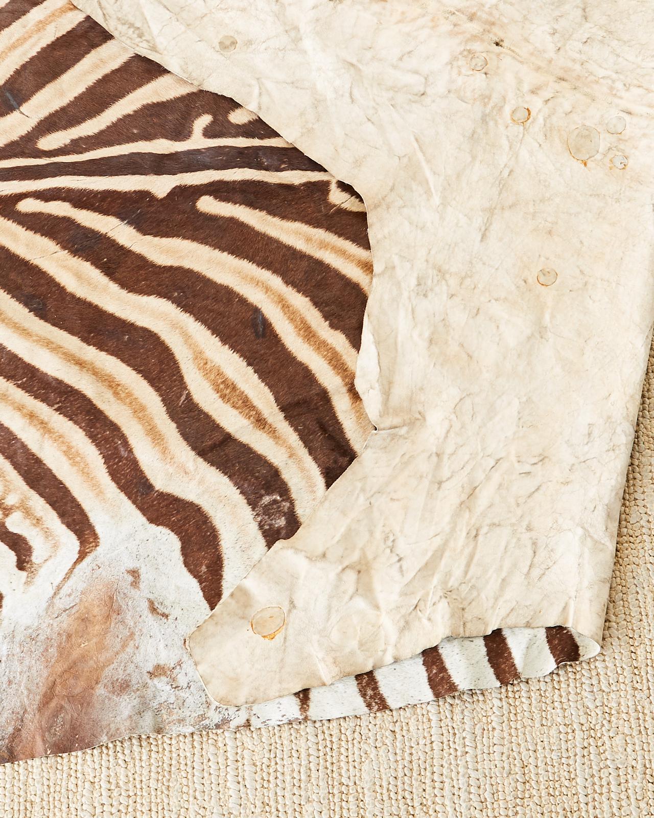 Authentic African Zebra Hide Carpet Rug 11