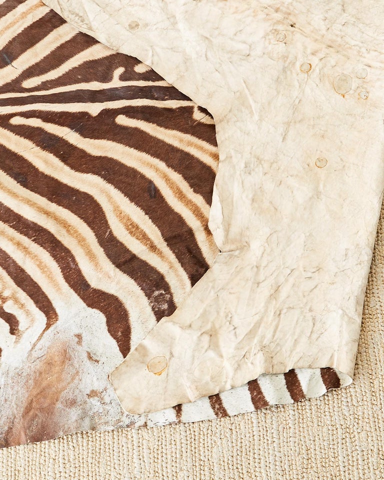 Authentic African Zebra Hide Carpet Rug at 1stDibs