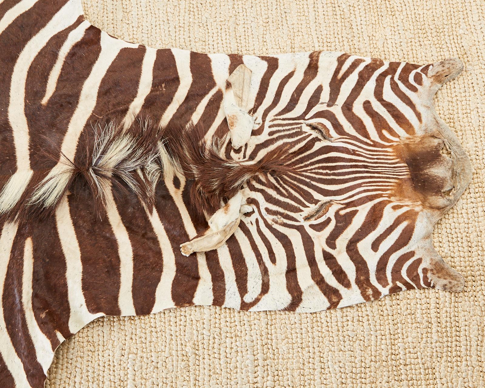 Hollywood Regency Authentic African Zebra Hide Carpet Rug